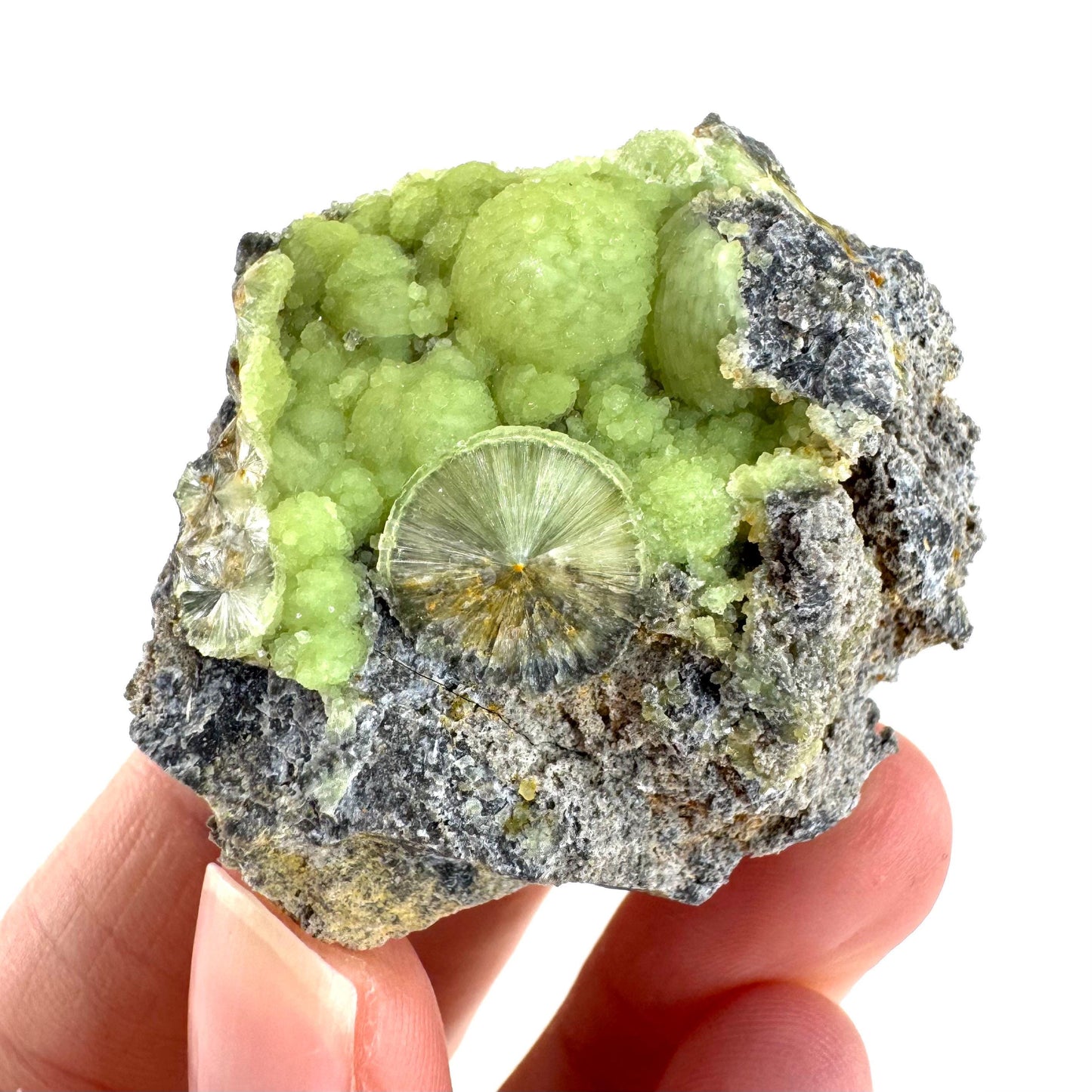 Wavellite (Arkansas, USA) | green crystal cluster, mineral specimen