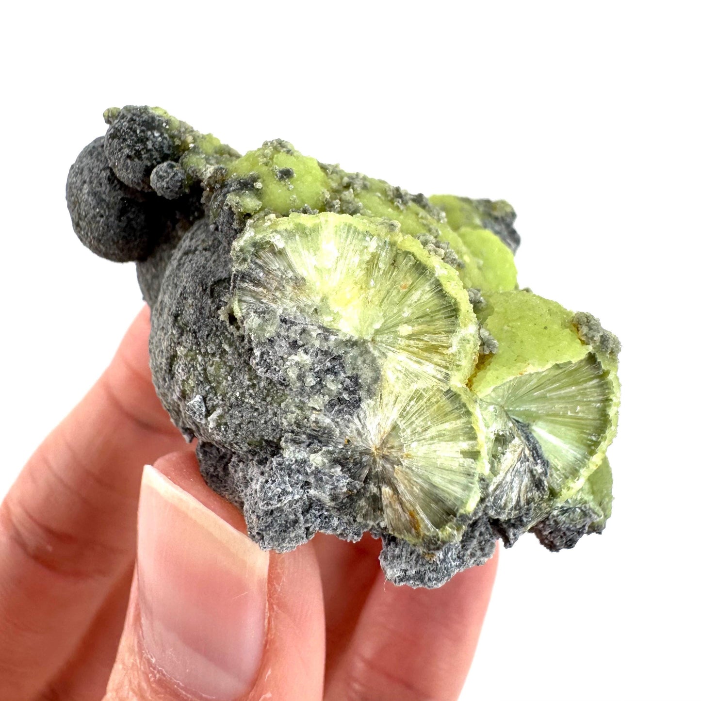Wavellite (Arkansas, USA) | green crystal cluster, mineral specimen