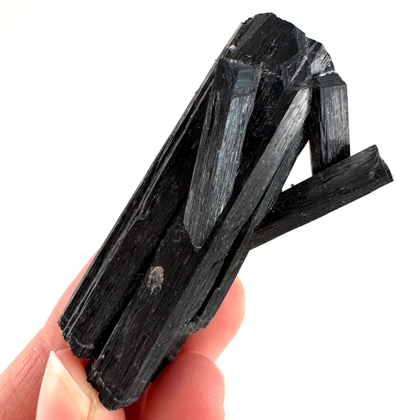 Black Tourmaline | Raw Schorl Crystal Cluster, Mineral Specimen from Namibia