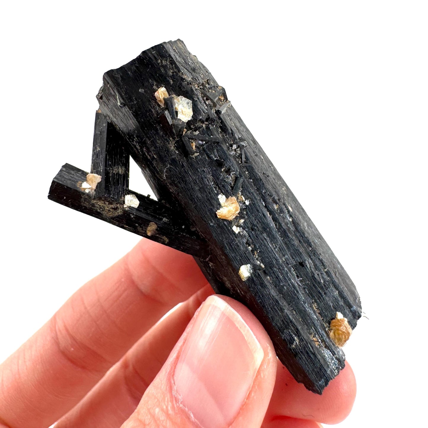 Black Tourmaline | Raw Schorl Crystal Cluster, Mineral Specimen from Namibia