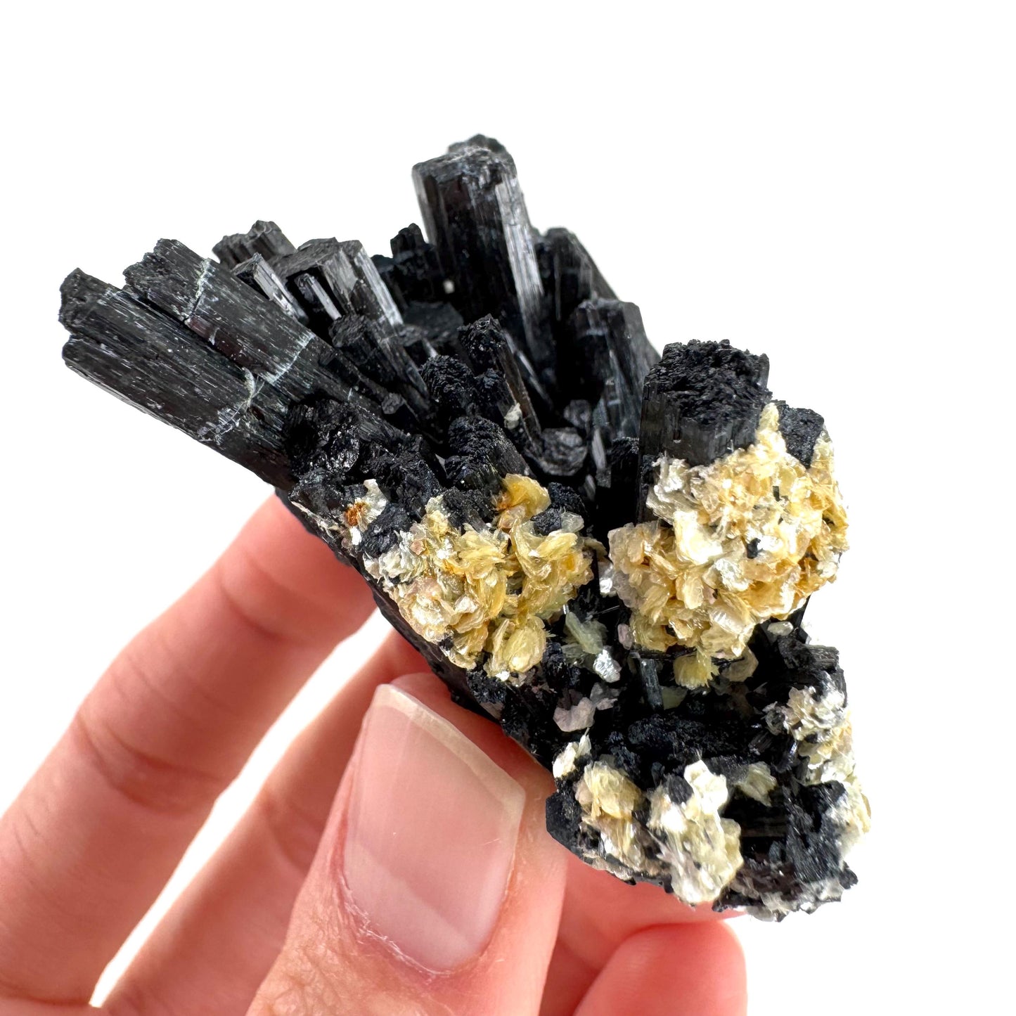 Black Tourmaline | Raw Schorl Crystal Cluster, Mineral Specimen from Namibia