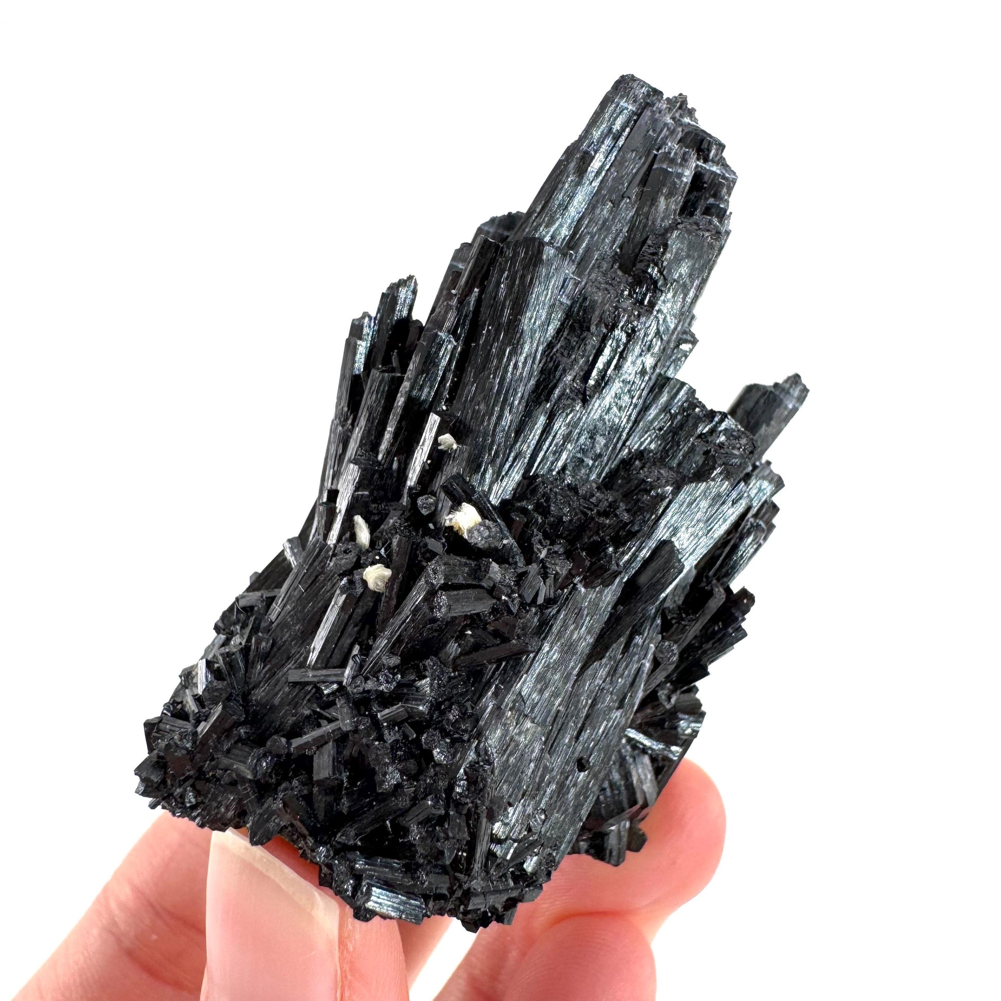 Black Tourmaline | Raw Schorl Crystal Cluster, Mineral Specimen from Namibia