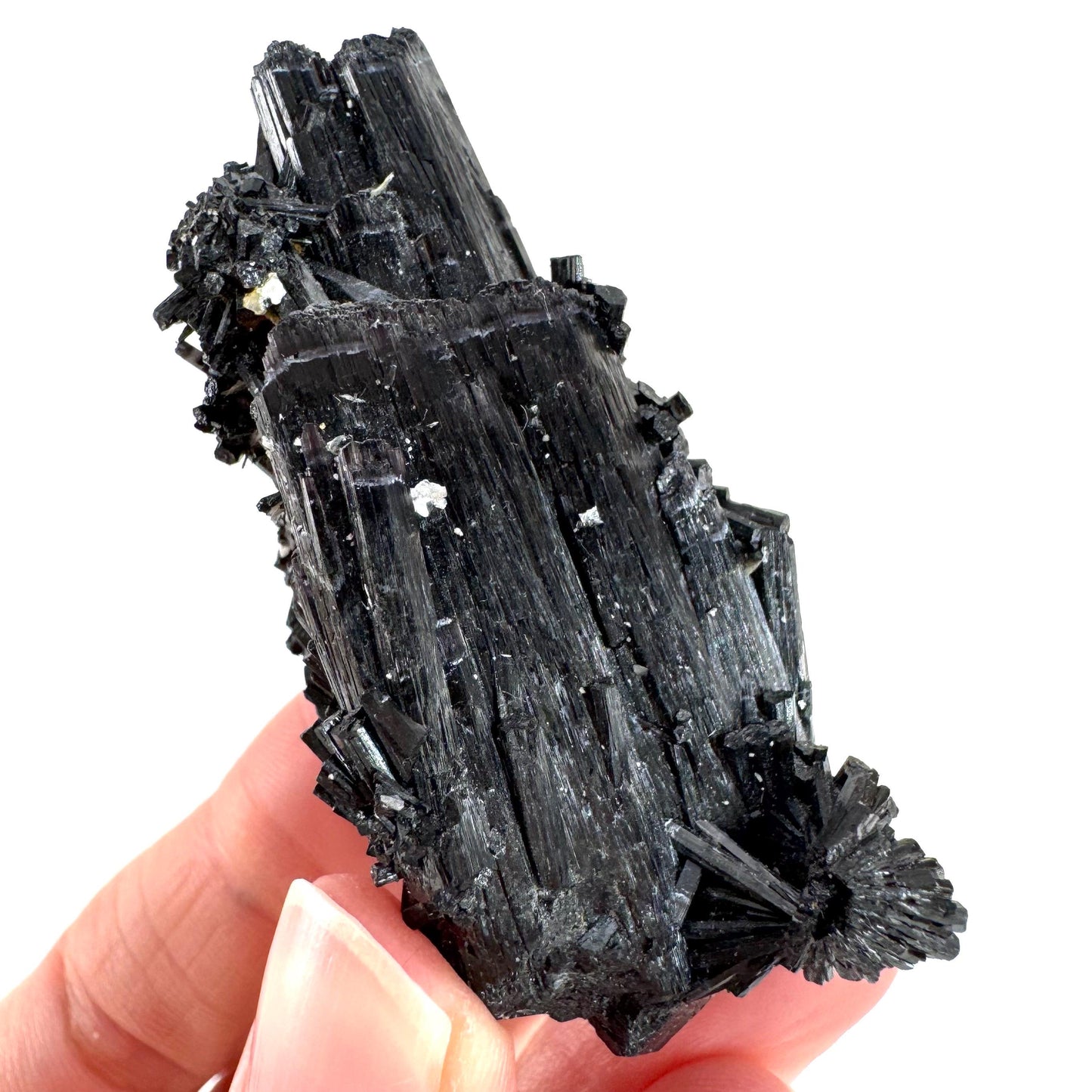 Black Tourmaline | Raw Schorl Crystal Cluster, Mineral Specimen from Namibia
