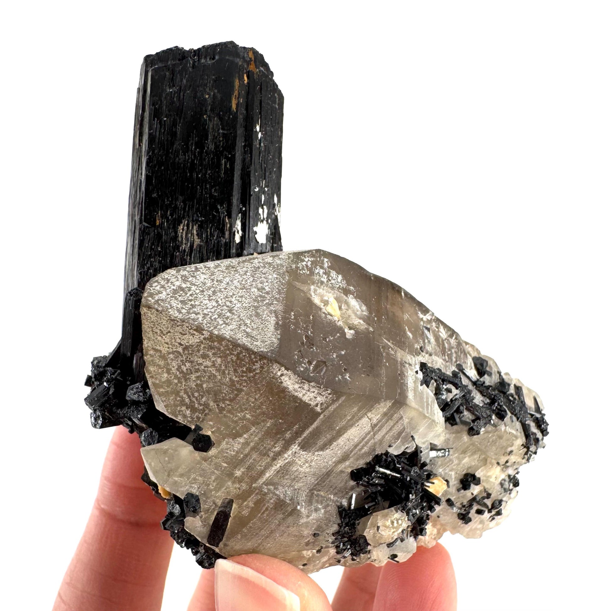 Black Tourmaline on Smoky Quartz | schorl crystal cluster, mineral specimen from Namibia
