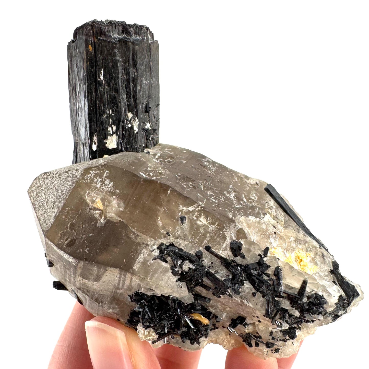 Black Tourmaline on Smoky Quartz | schorl crystal cluster, mineral specimen from Namibia