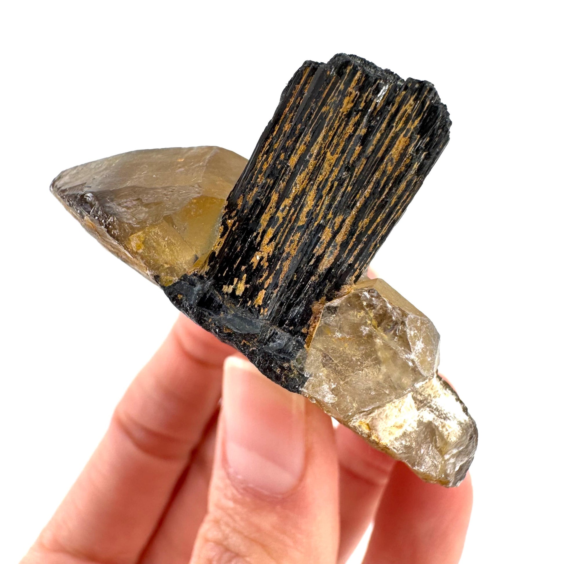 Black Tourmaline on Smoky Quartz | schorl crystal cluster, mineral specimen from Namibia