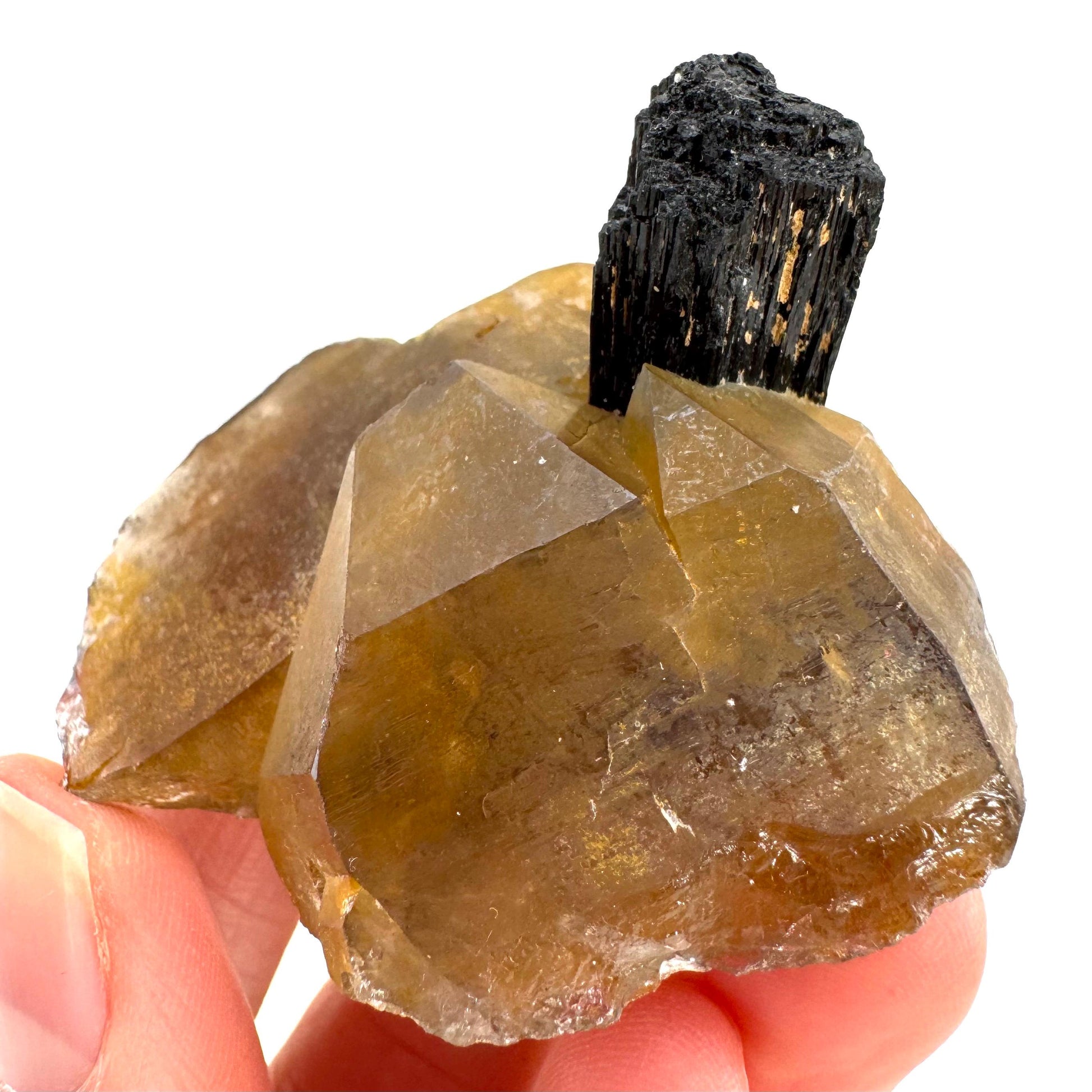 Black Tourmaline on Smoky Quartz | schorl crystal cluster, mineral specimen from Namibia