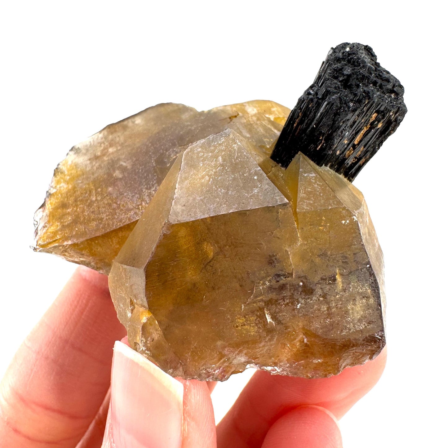 Black Tourmaline on Smoky Quartz | schorl crystal cluster, mineral specimen from Namibia