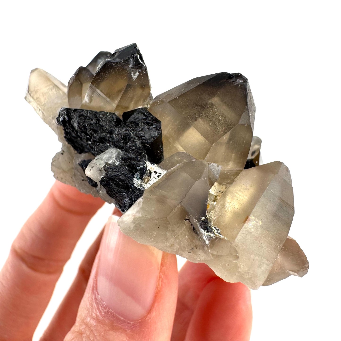 Smoky Quartz on Black Tourmaline | schorl crystal cluster, mineral specimen from Namibia