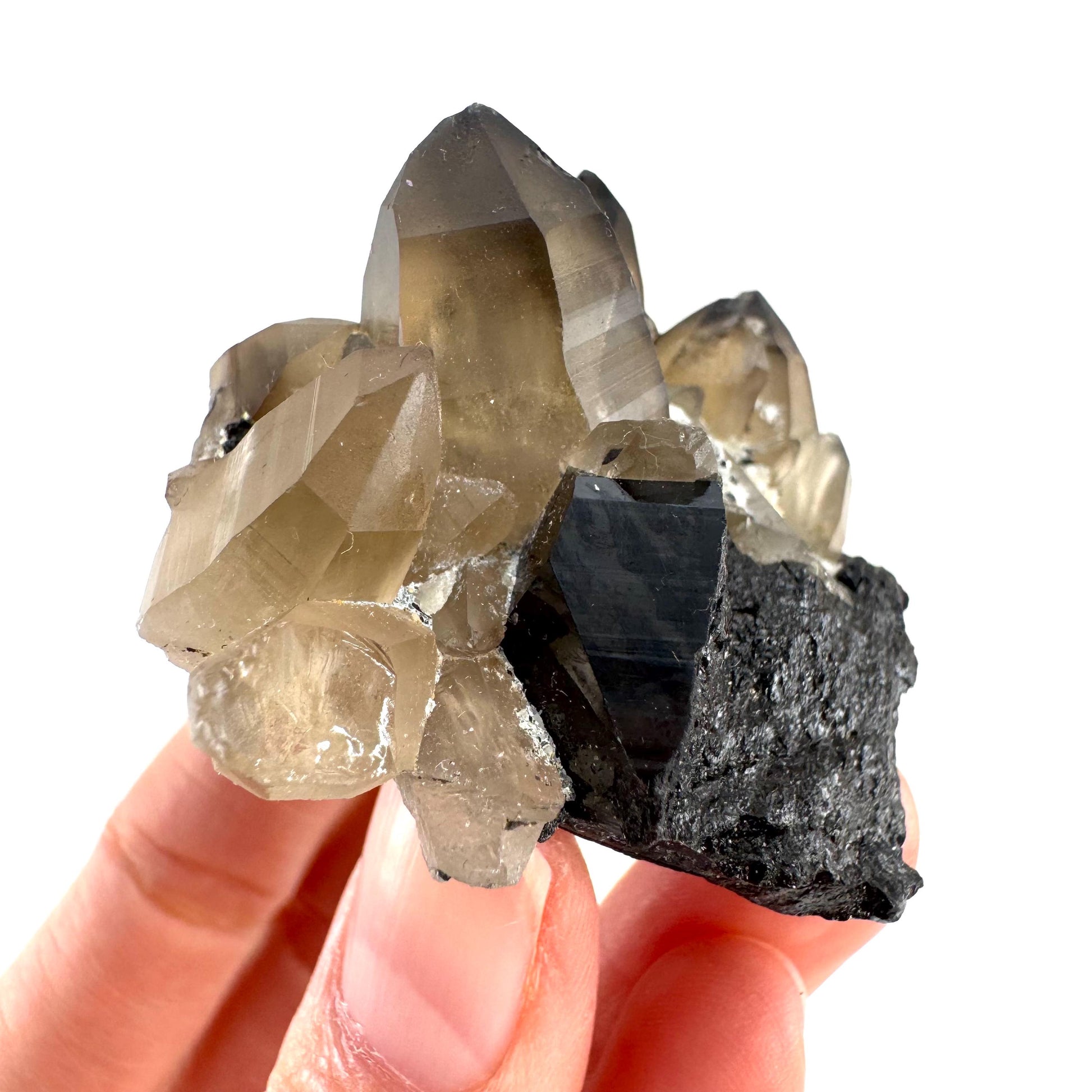 Smoky Quartz on Black Tourmaline | schorl crystal cluster, mineral specimen from Namibia