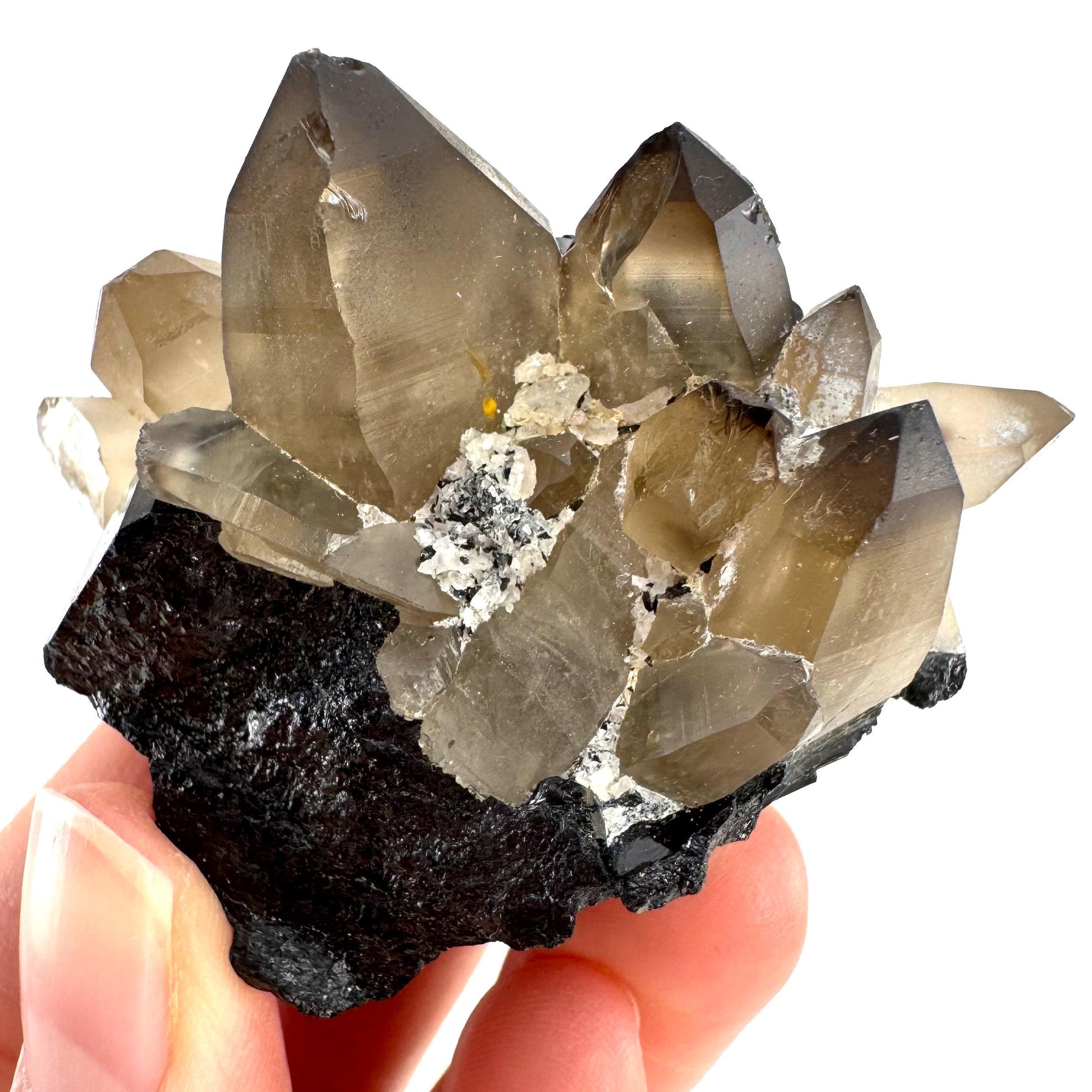 Smoky Quartz on Black Tourmaline | schorl crystal cluster, mineral specimen from Namibia