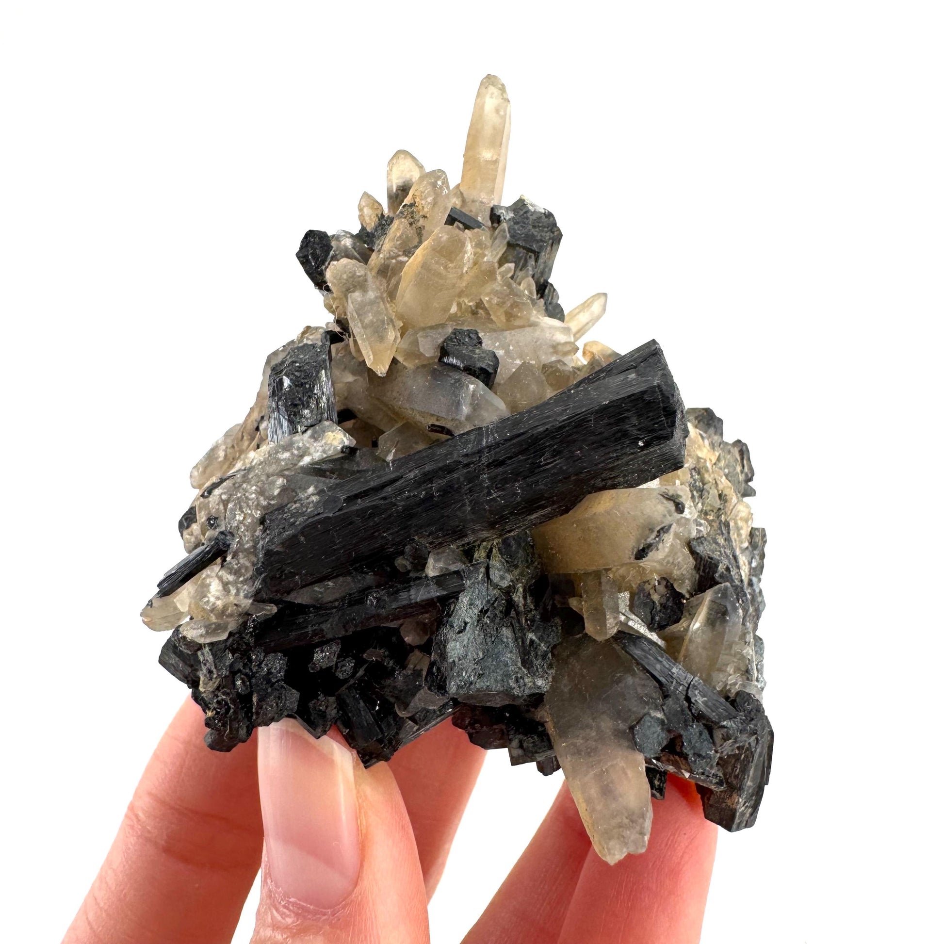 Smoky Quartz on Black Tourmaline | schorl crystal cluster, mineral specimen from Namibia