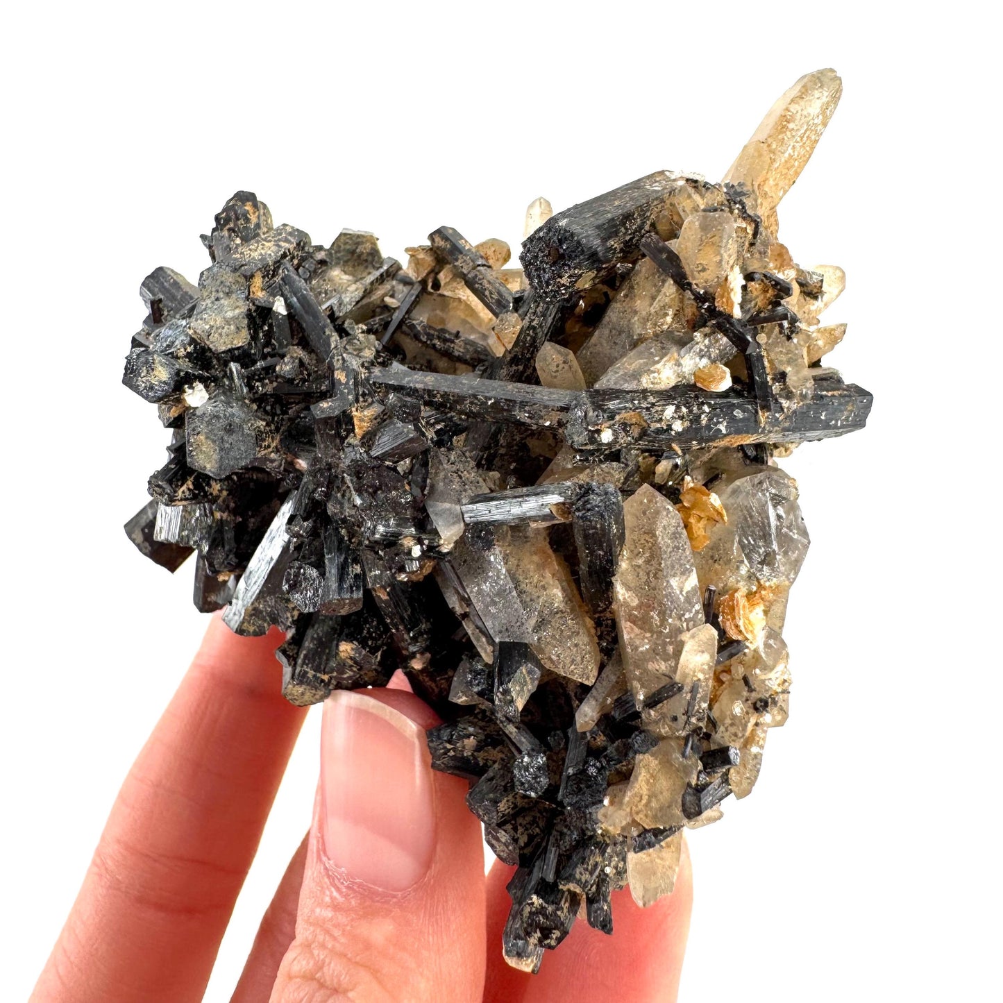 Smoky Quartz on Black Tourmaline | schorl crystal cluster, mineral specimen from Namibia