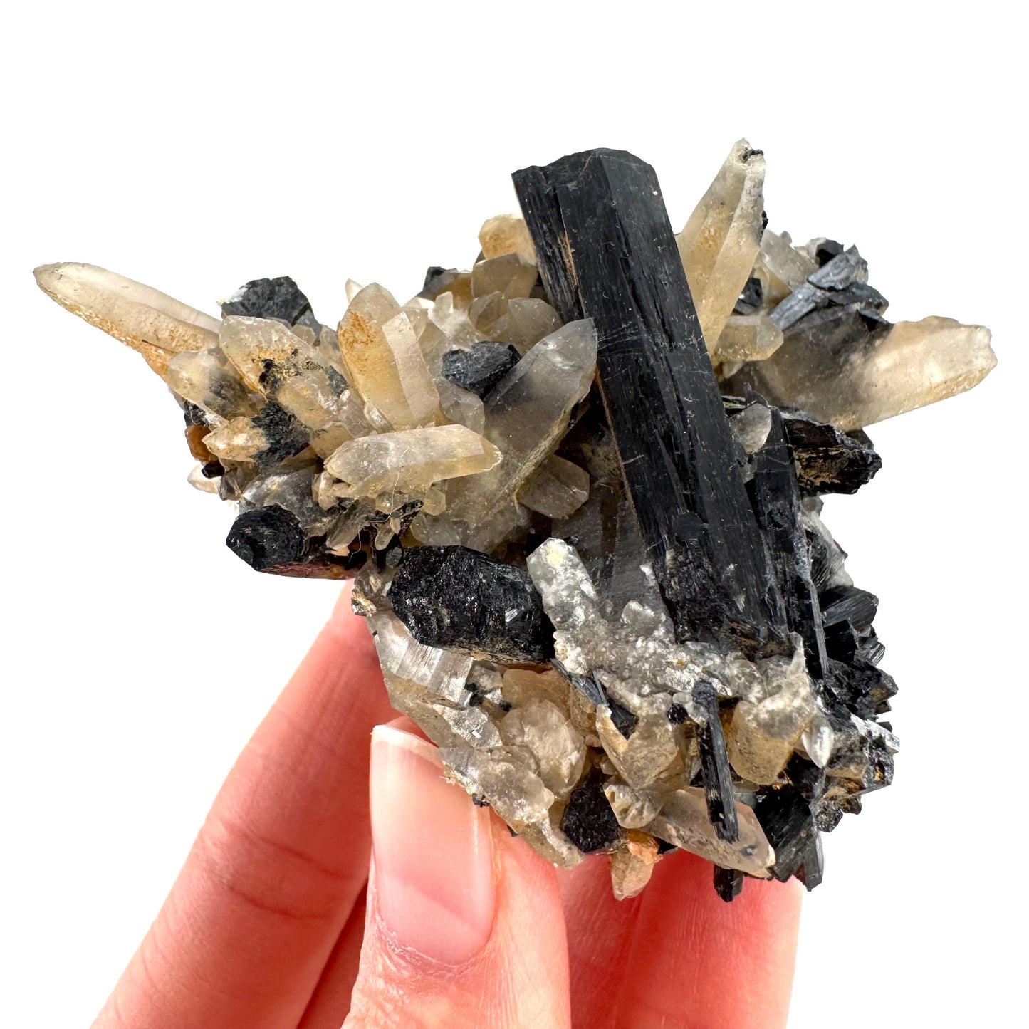 Smoky Quartz on Black Tourmaline | schorl crystal cluster, mineral specimen from Namibia