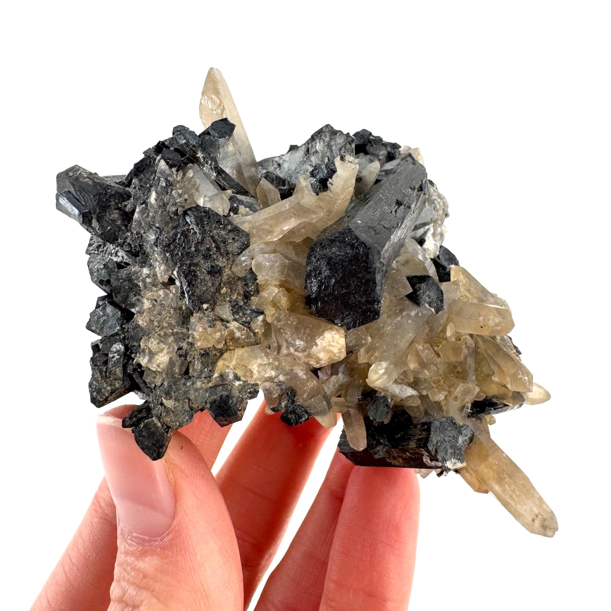 Smoky Quartz on Black Tourmaline | schorl crystal cluster, mineral specimen from Namibia