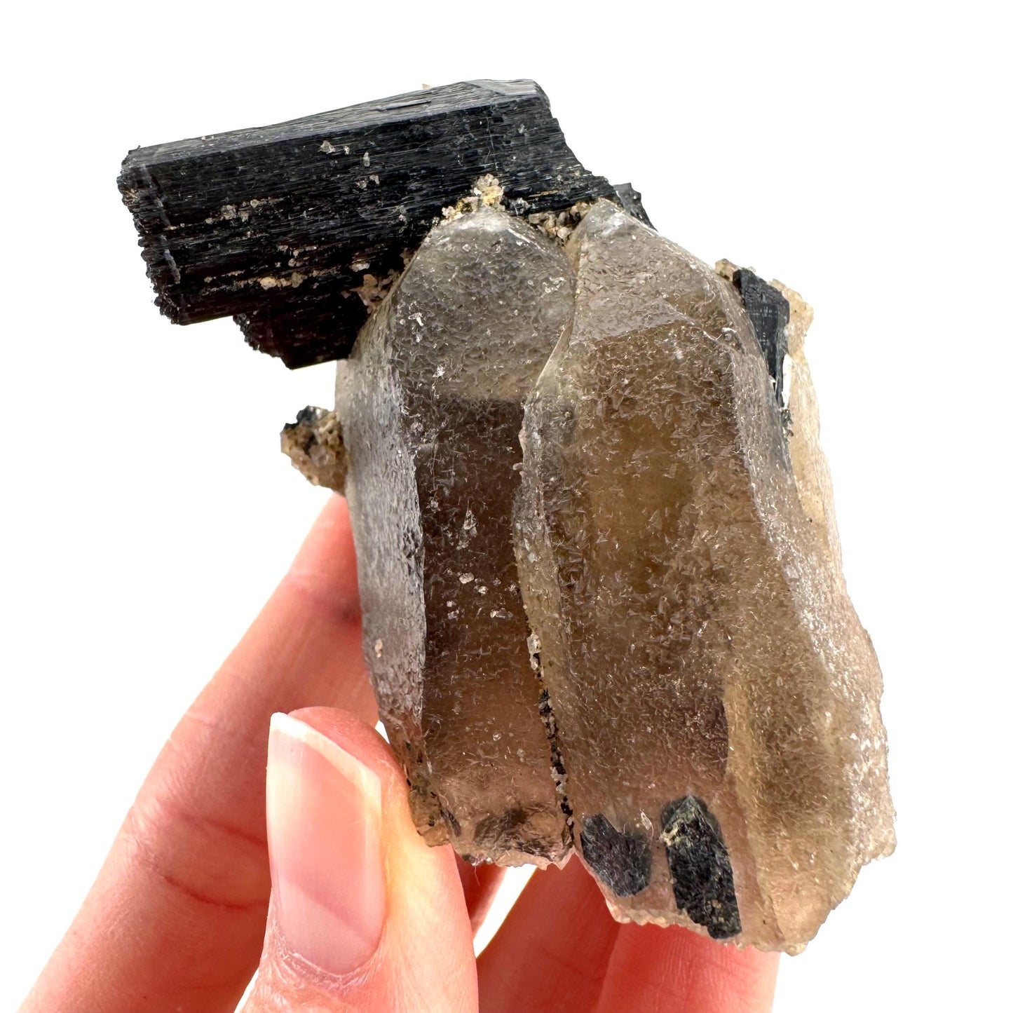 Black Tourmaline on Smoky Quartz | schorl crystal cluster, mineral specimen from Namibia