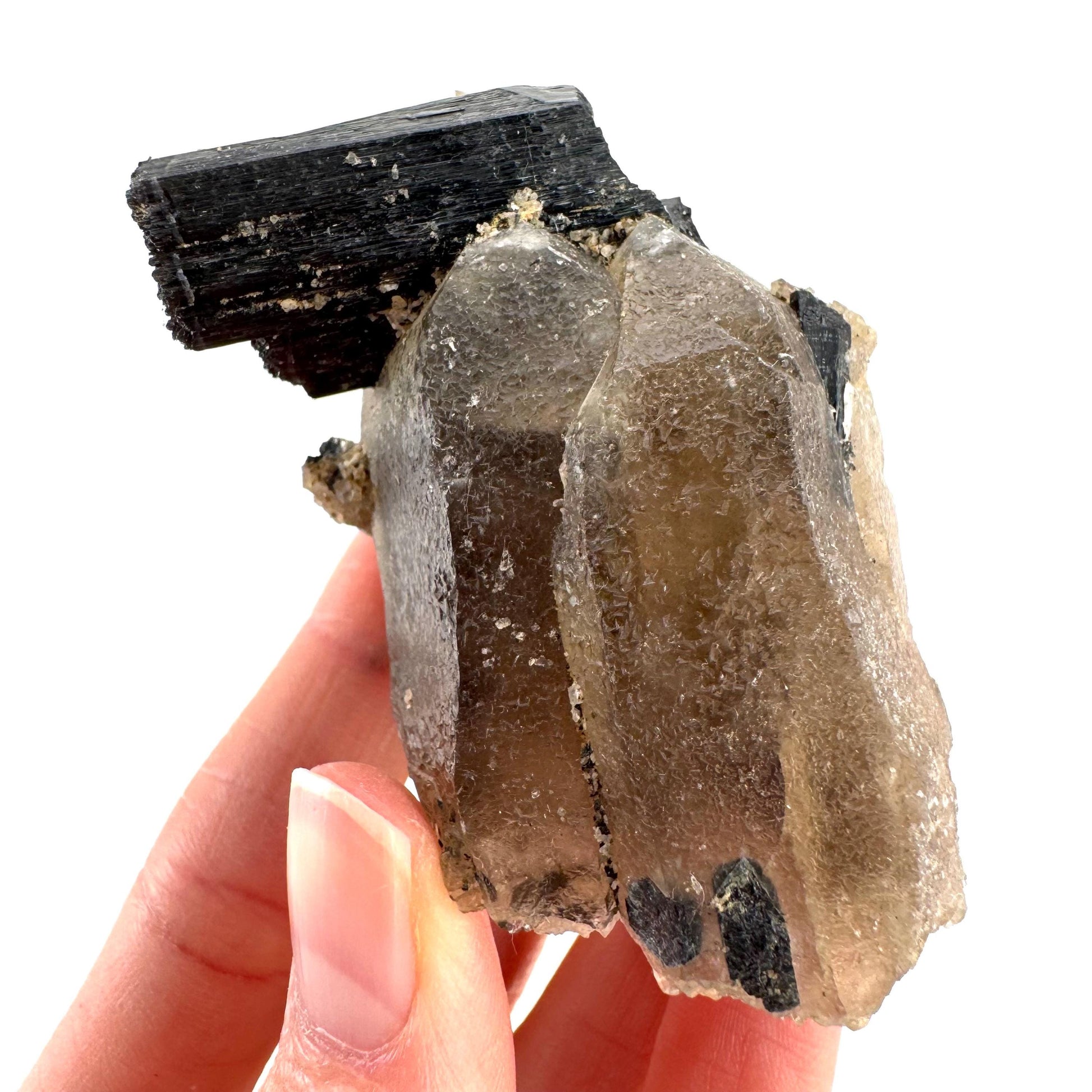Black Tourmaline on Smoky Quartz | schorl crystal cluster, mineral specimen from Namibia