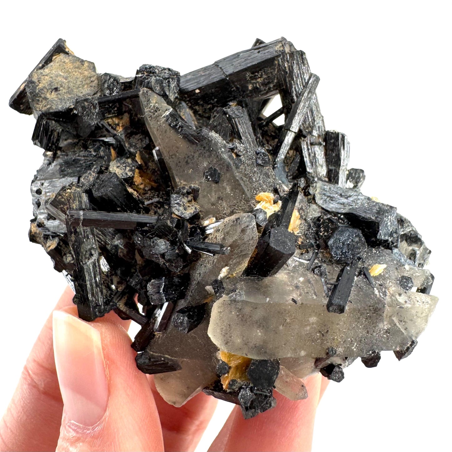 Smoky Quartz on Black Tourmaline | schorl crystal cluster, mineral specimen from Namibia