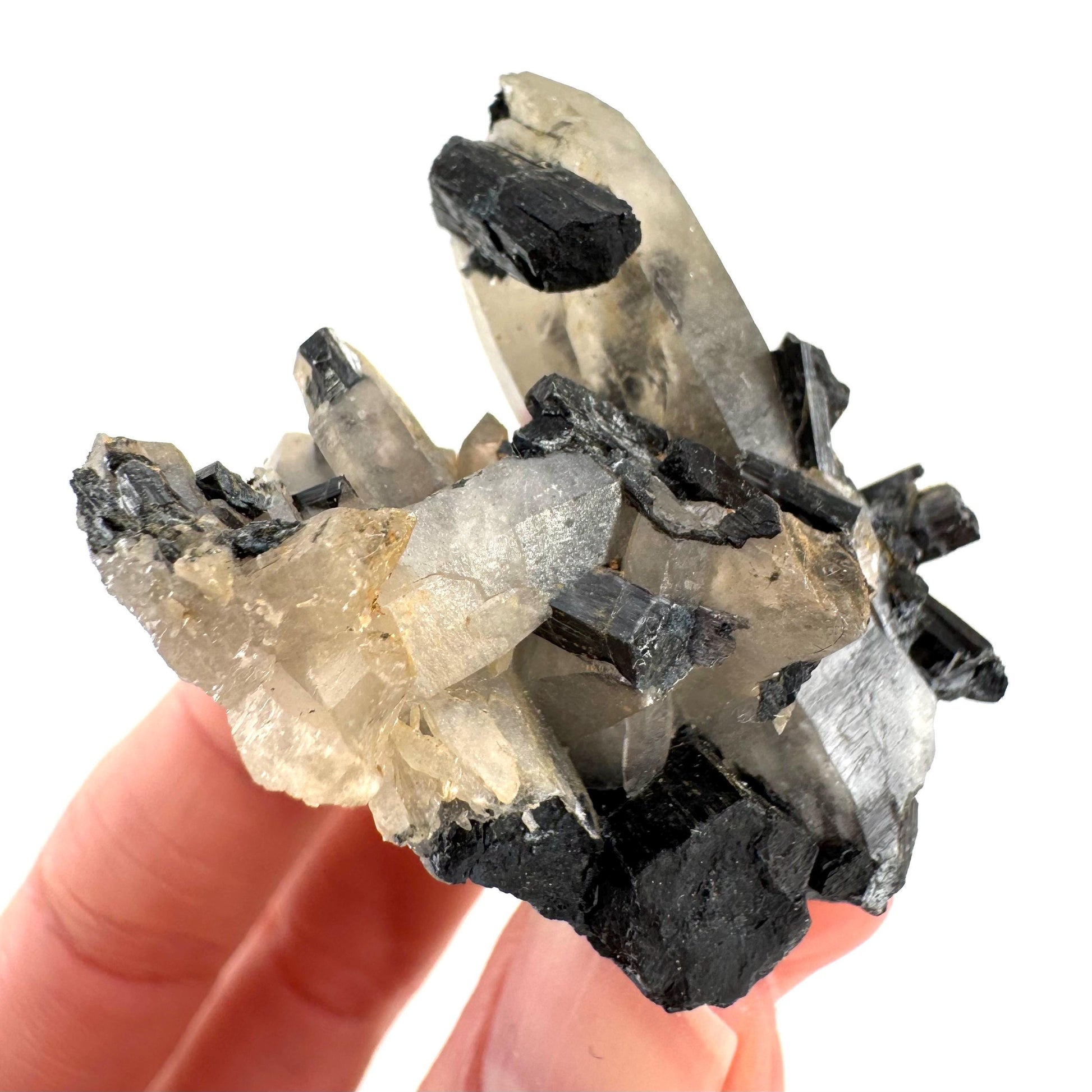 Smoky Quartz on Black Tourmaline | schorl crystal cluster, mineral specimen from Namibia