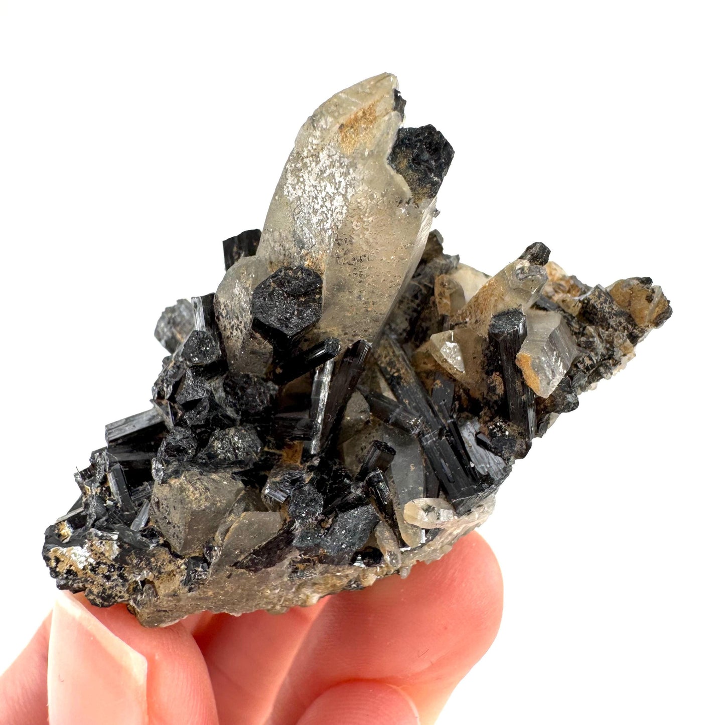Smoky Quartz on Black Tourmaline | schorl crystal cluster, mineral specimen from Namibia