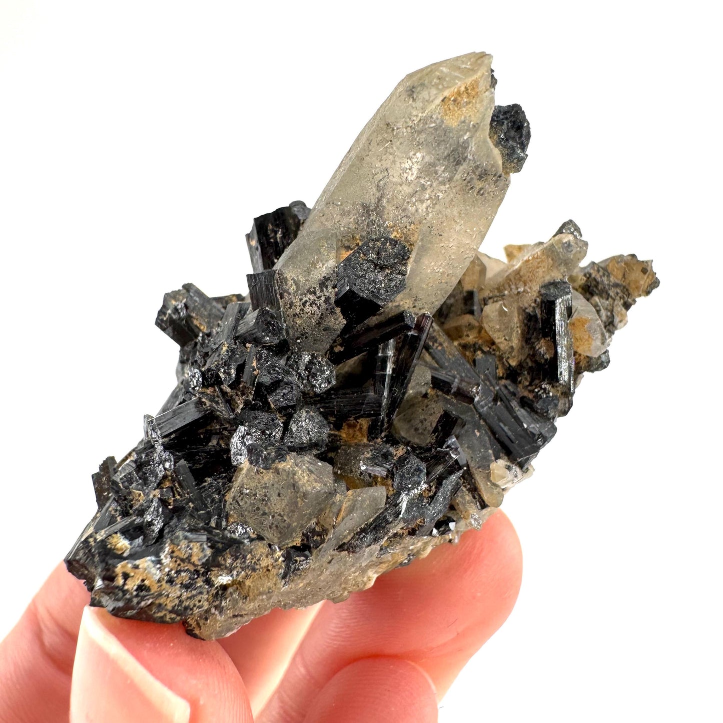 Smoky Quartz on Black Tourmaline | schorl crystal cluster, mineral specimen from Namibia