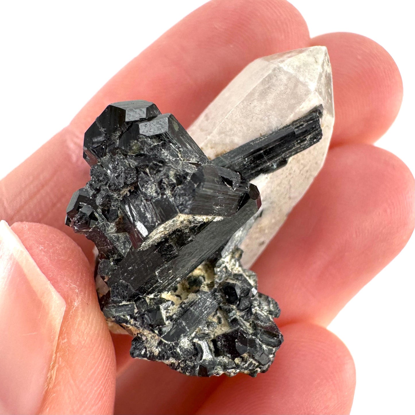 Black Tourmaline on Smoky Quartz | schorl crystal cluster, mineral specimen from Namibia
