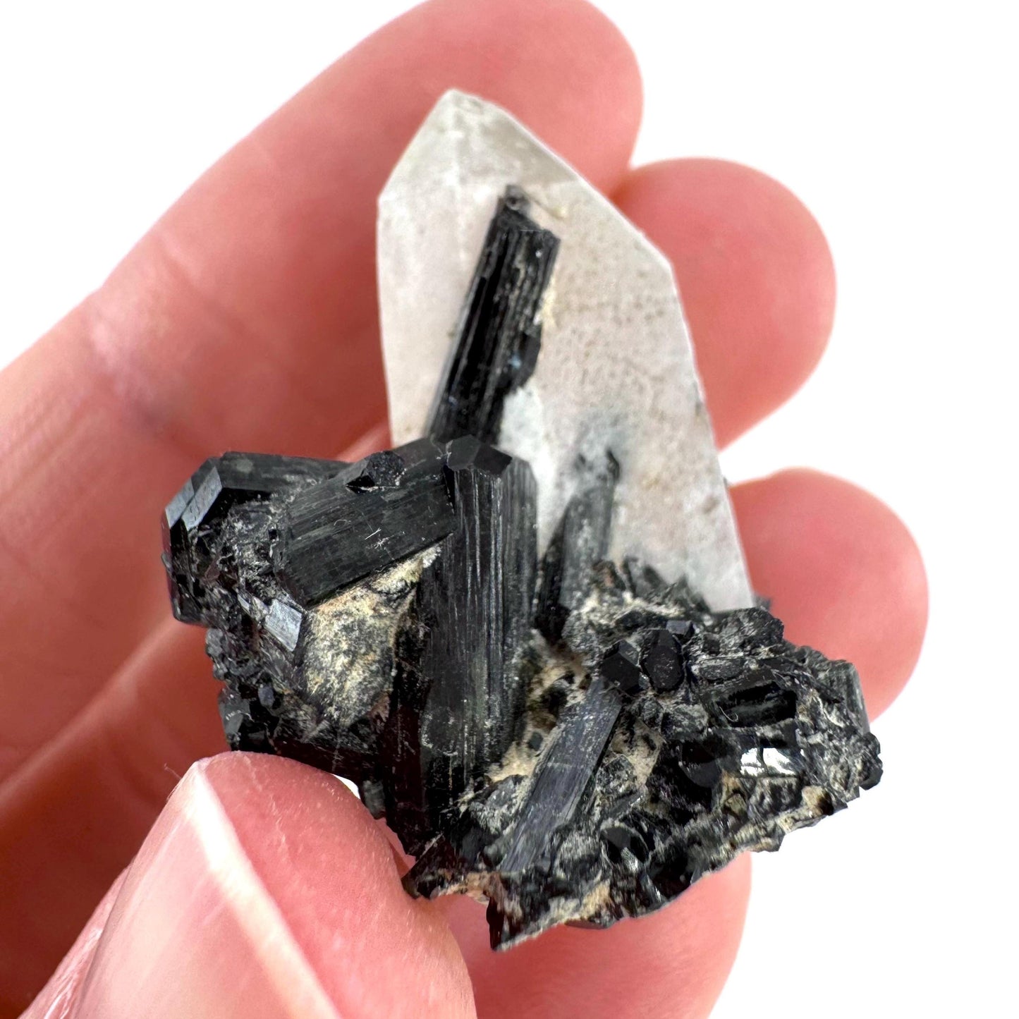 Black Tourmaline on Smoky Quartz | schorl crystal cluster, mineral specimen from Namibia