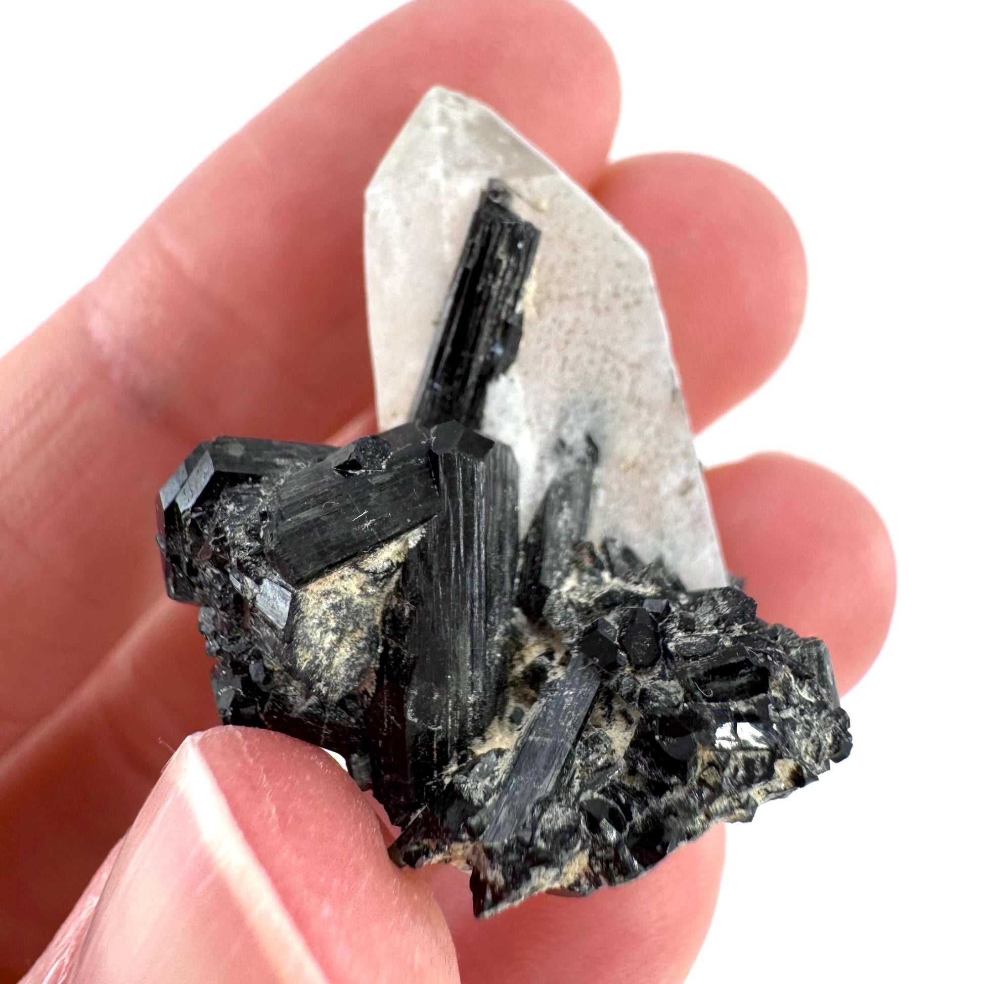 Black Tourmaline on Smoky Quartz | schorl crystal cluster, mineral specimen from Namibia