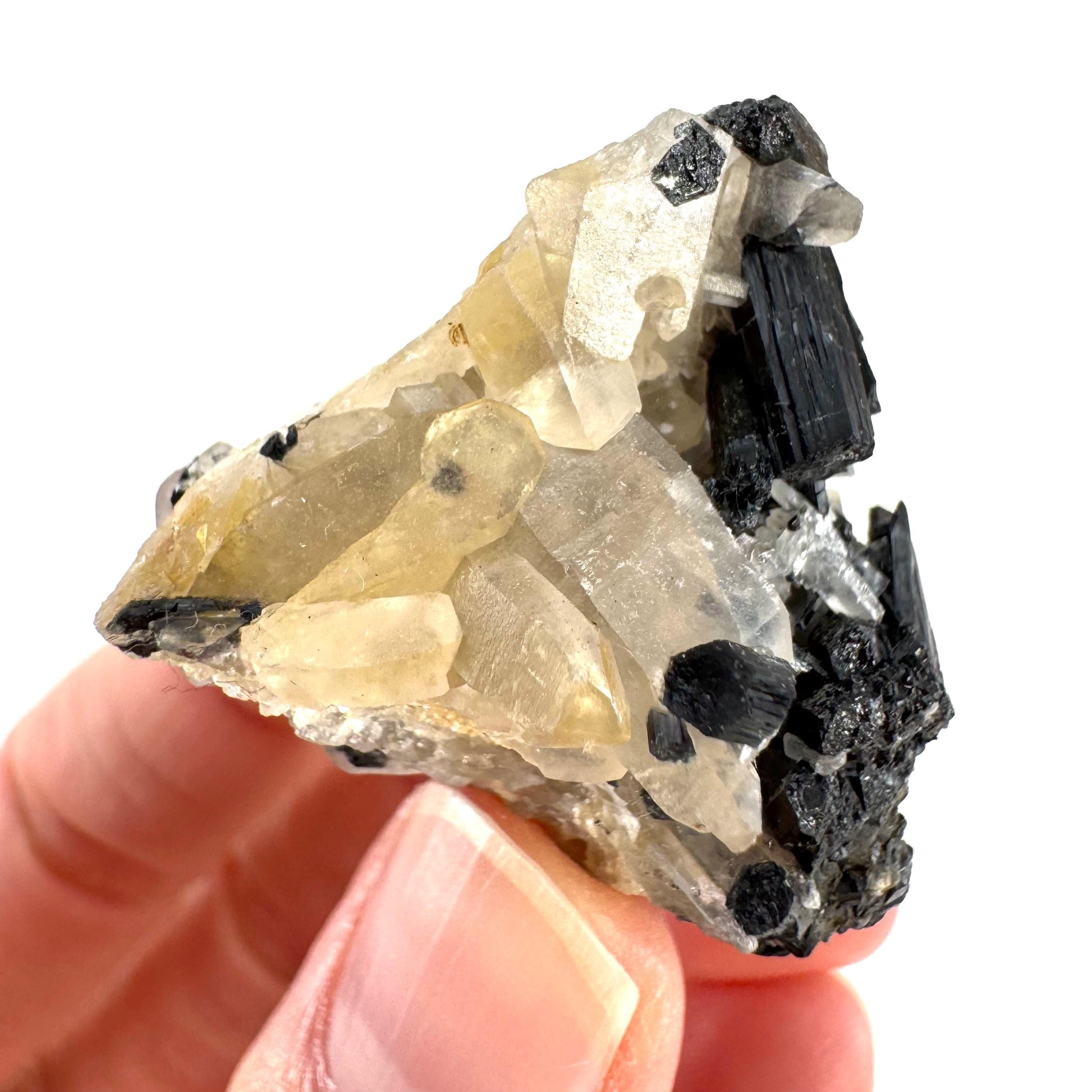 Smoky Quartz on Black Tourmaline | schorl crystal cluster, mineral specimen from Namibia
