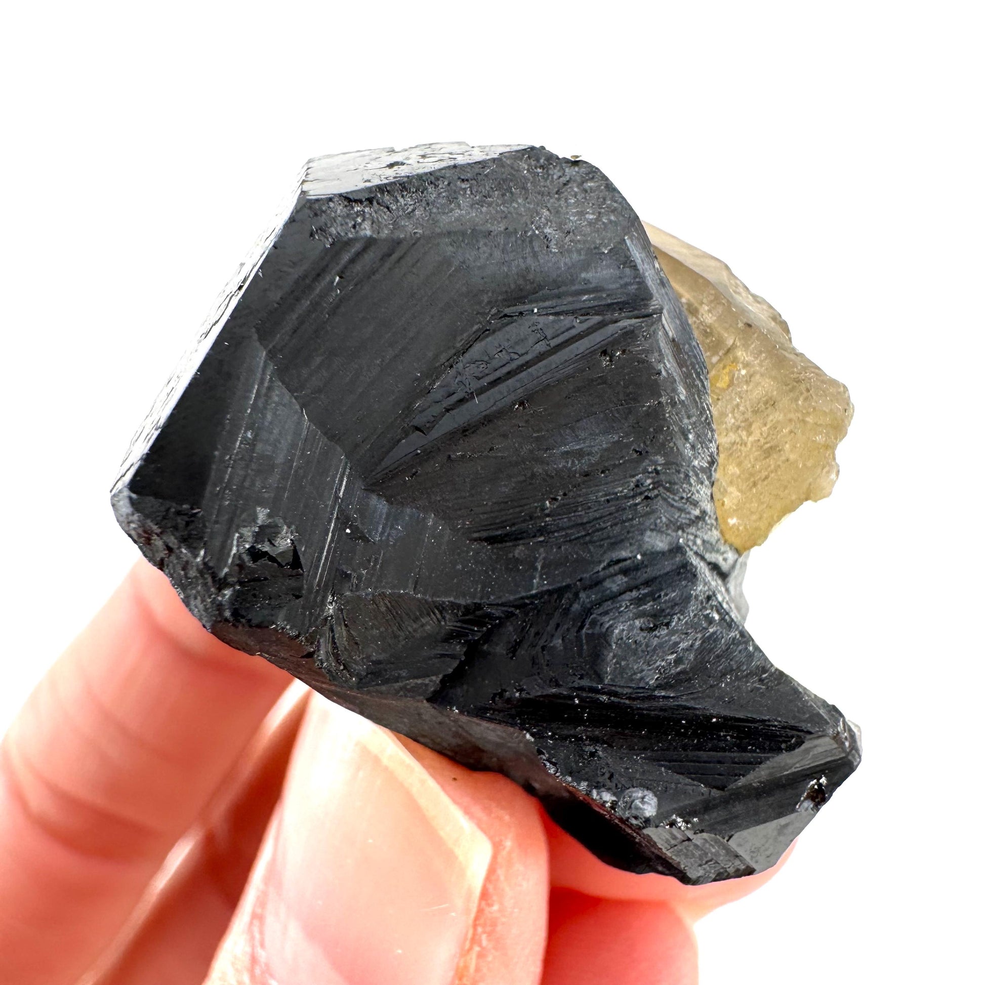 Smoky Quartz on Black Tourmaline | schorl crystal cluster, mineral specimen from Namibia