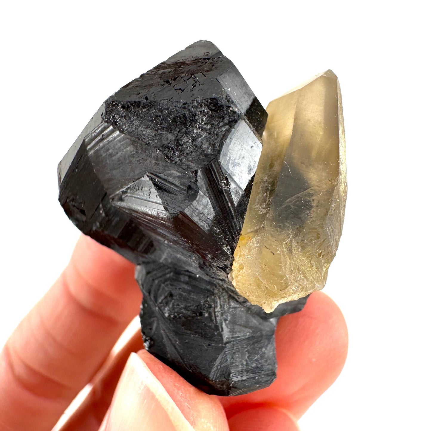 Smoky Quartz on Black Tourmaline | schorl crystal cluster, mineral specimen from Namibia