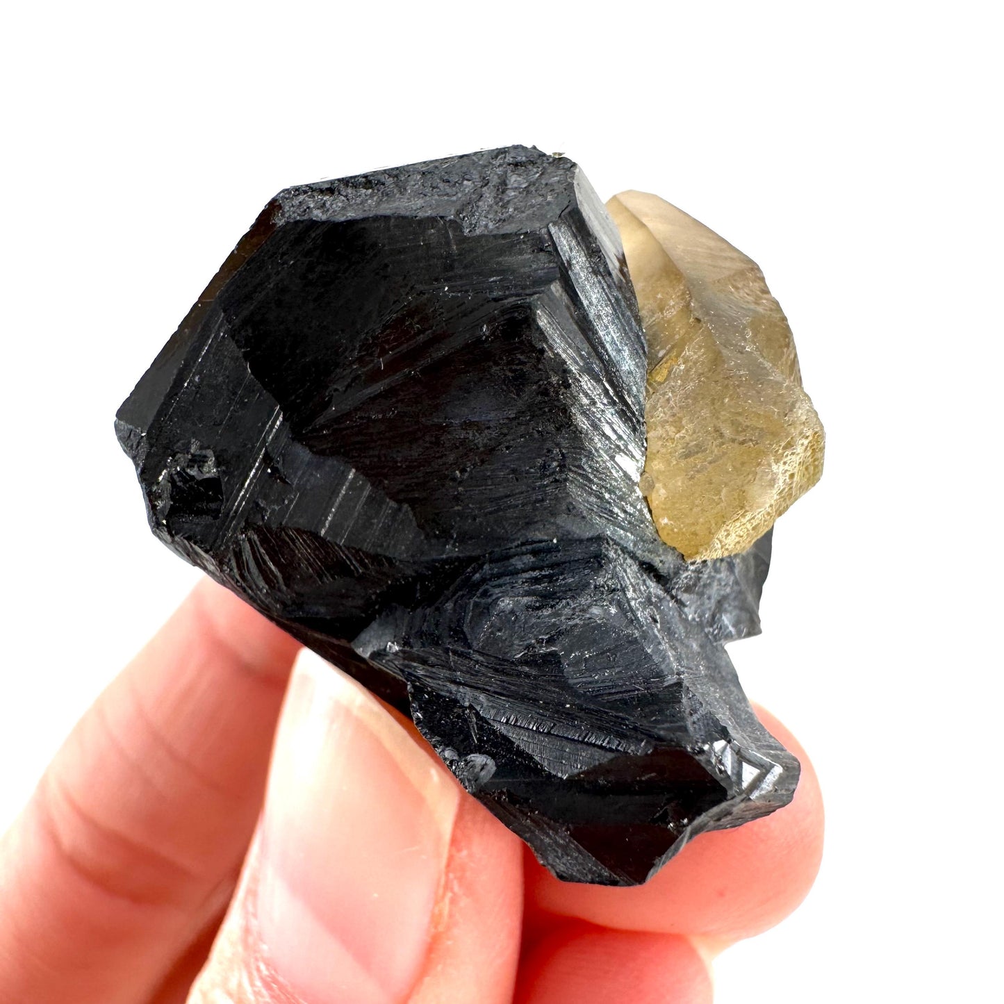 Smoky Quartz on Black Tourmaline | schorl crystal cluster, mineral specimen from Namibia