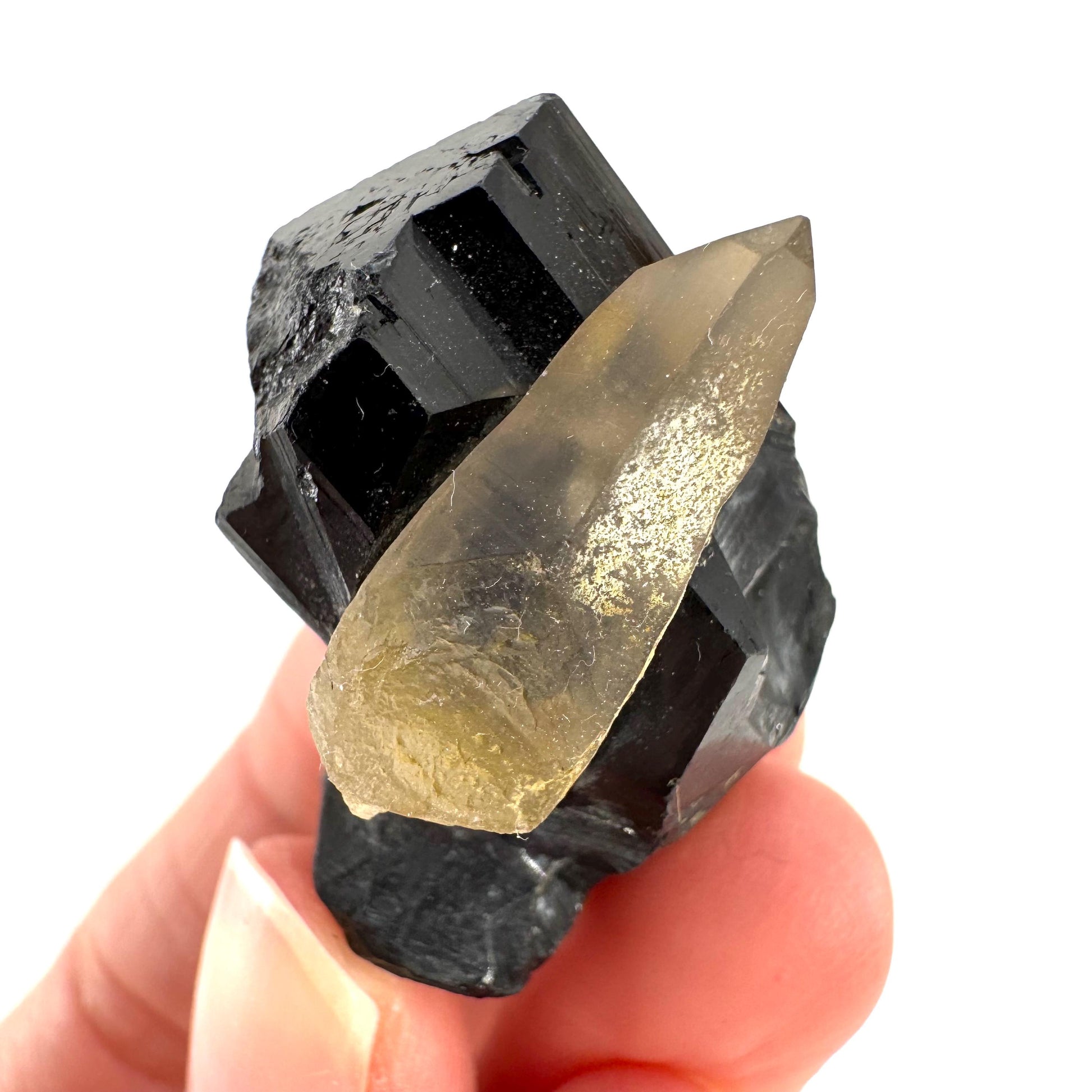 Smoky Quartz on Black Tourmaline | schorl crystal cluster, mineral specimen from Namibia
