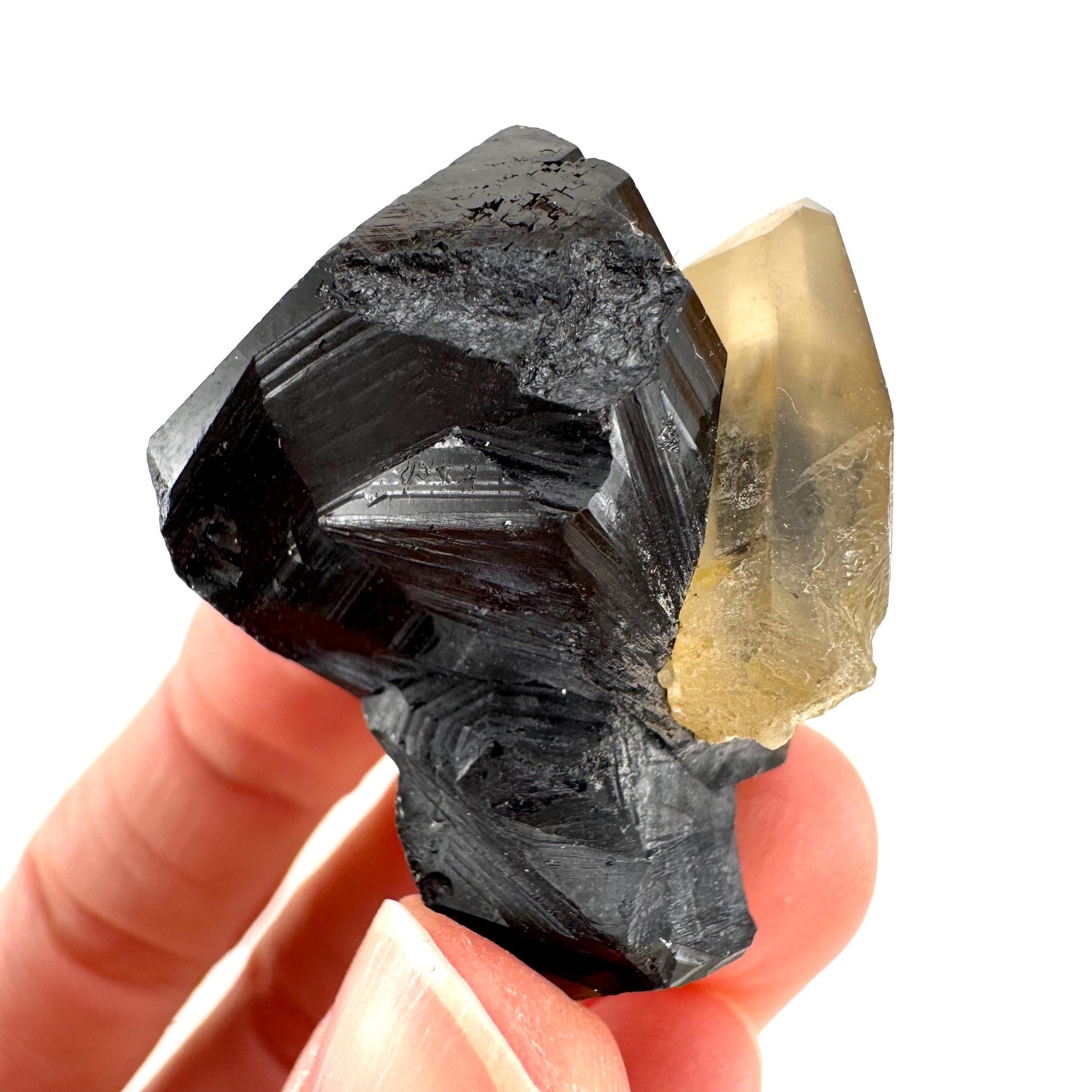 Smoky Quartz on Black Tourmaline | schorl crystal cluster, mineral specimen from Namibia