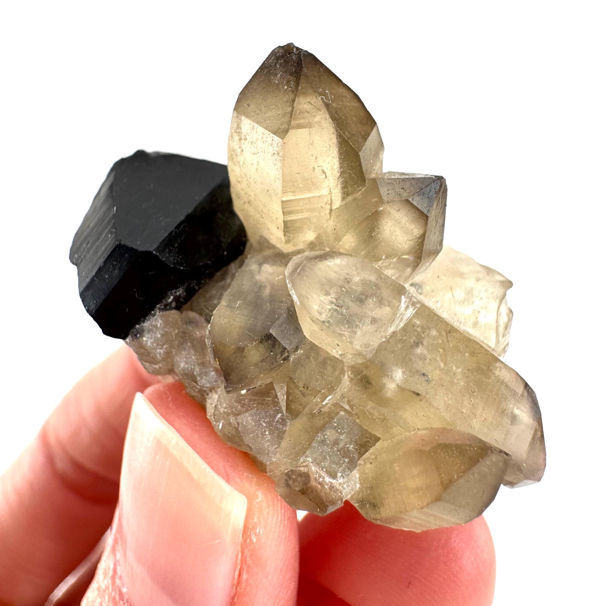 Black Tourmaline on Smoky Quartz | schorl crystal cluster, mineral specimen from Namibia