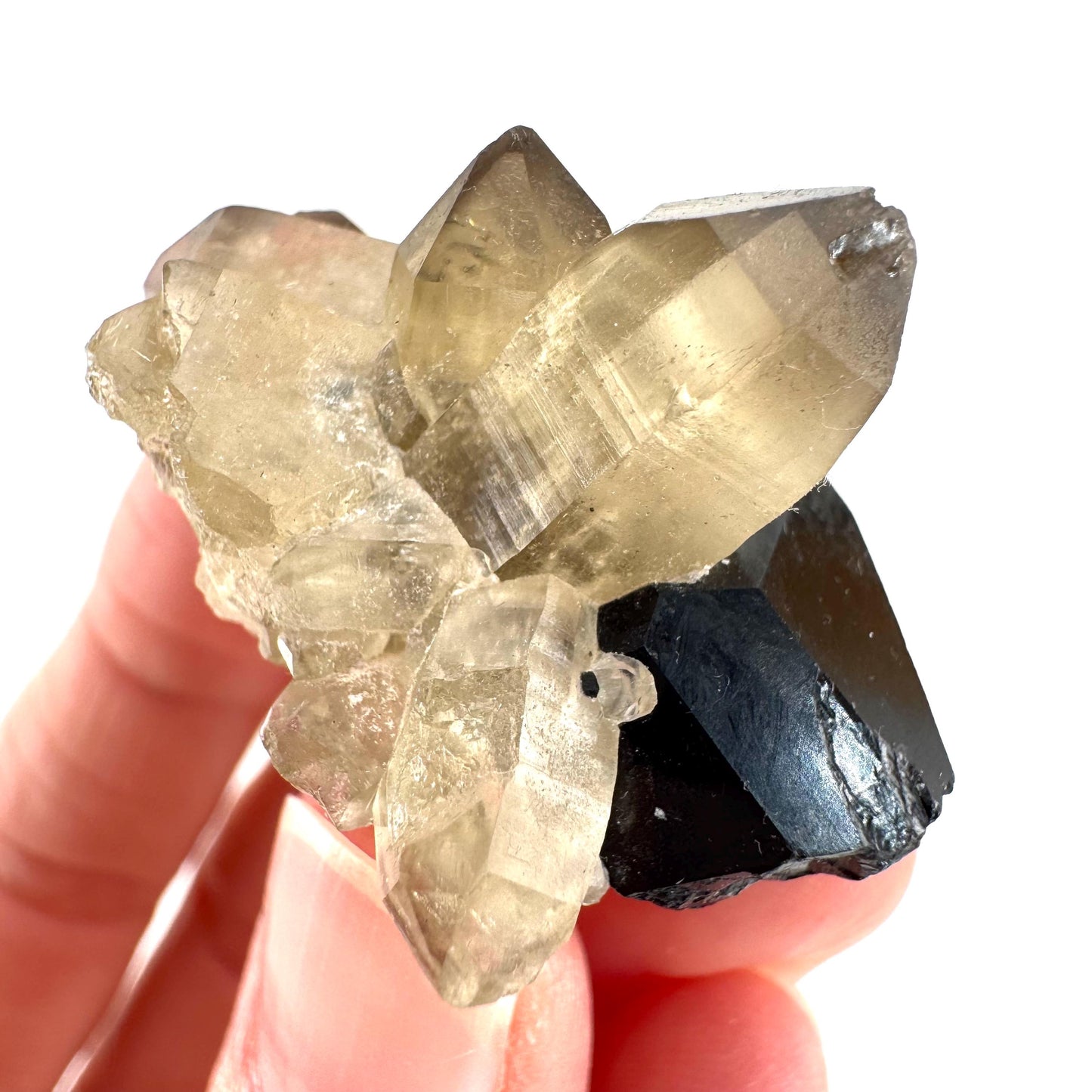 Black Tourmaline on Smoky Quartz | schorl crystal cluster, mineral specimen from Namibia
