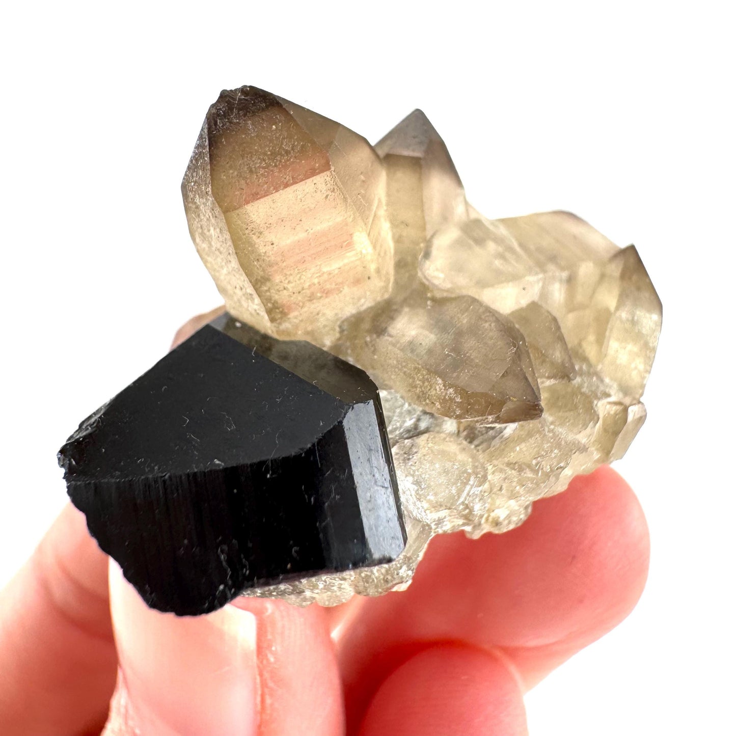 Black Tourmaline on Smoky Quartz | schorl crystal cluster, mineral specimen from Namibia