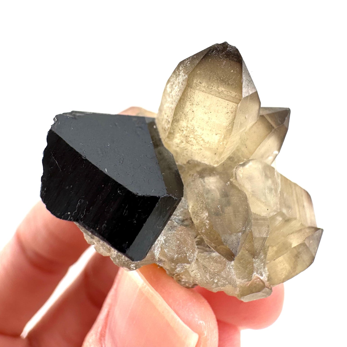 Black Tourmaline on Smoky Quartz | schorl crystal cluster, mineral specimen from Namibia