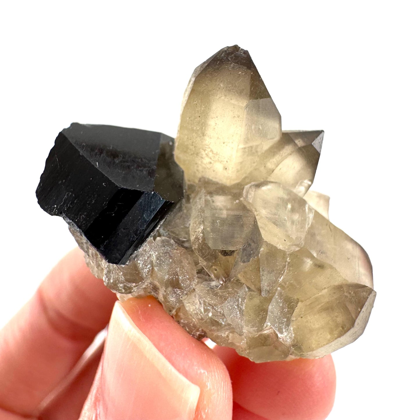 Black Tourmaline on Smoky Quartz | schorl crystal cluster, mineral specimen from Namibia