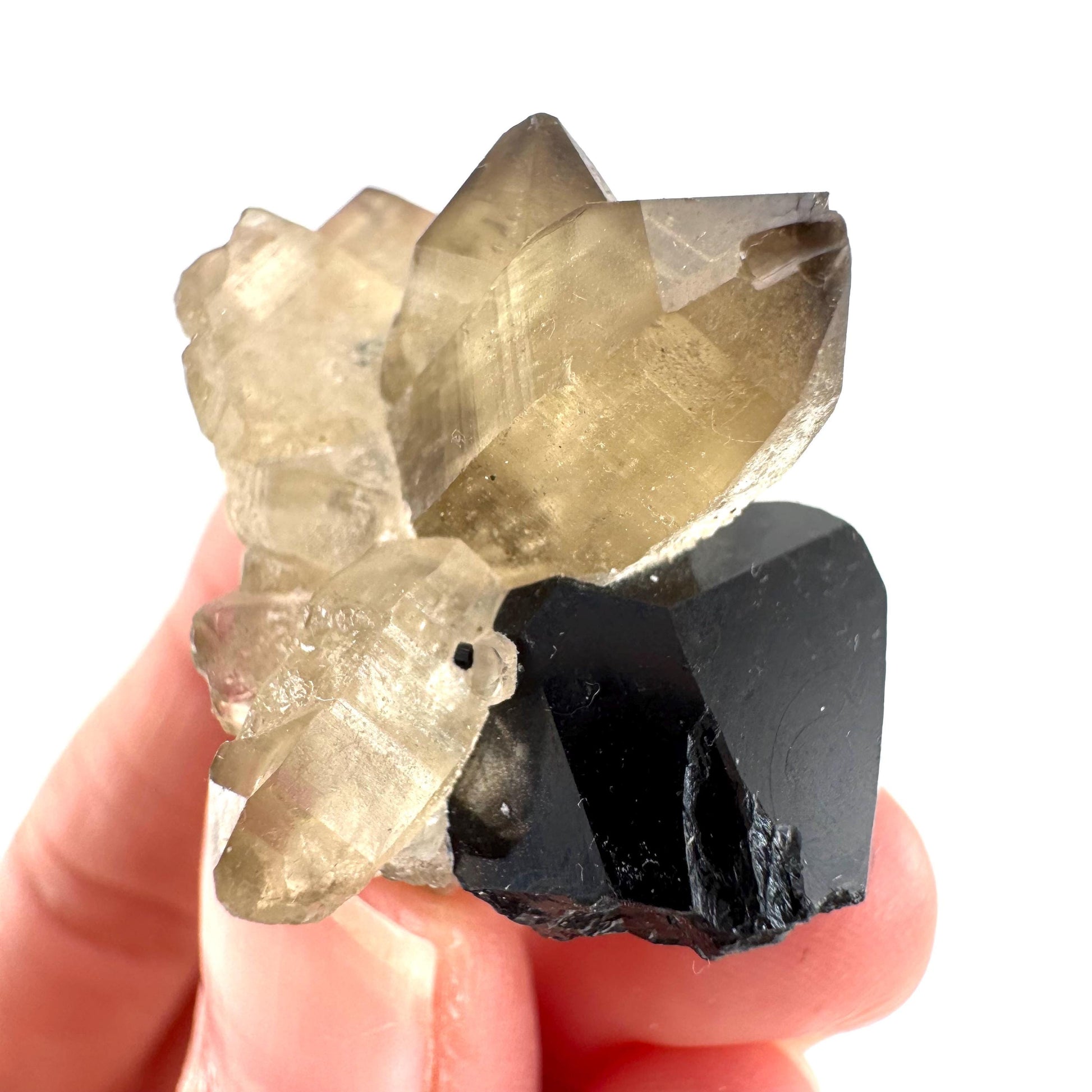 Black Tourmaline on Smoky Quartz | schorl crystal cluster, mineral specimen from Namibia