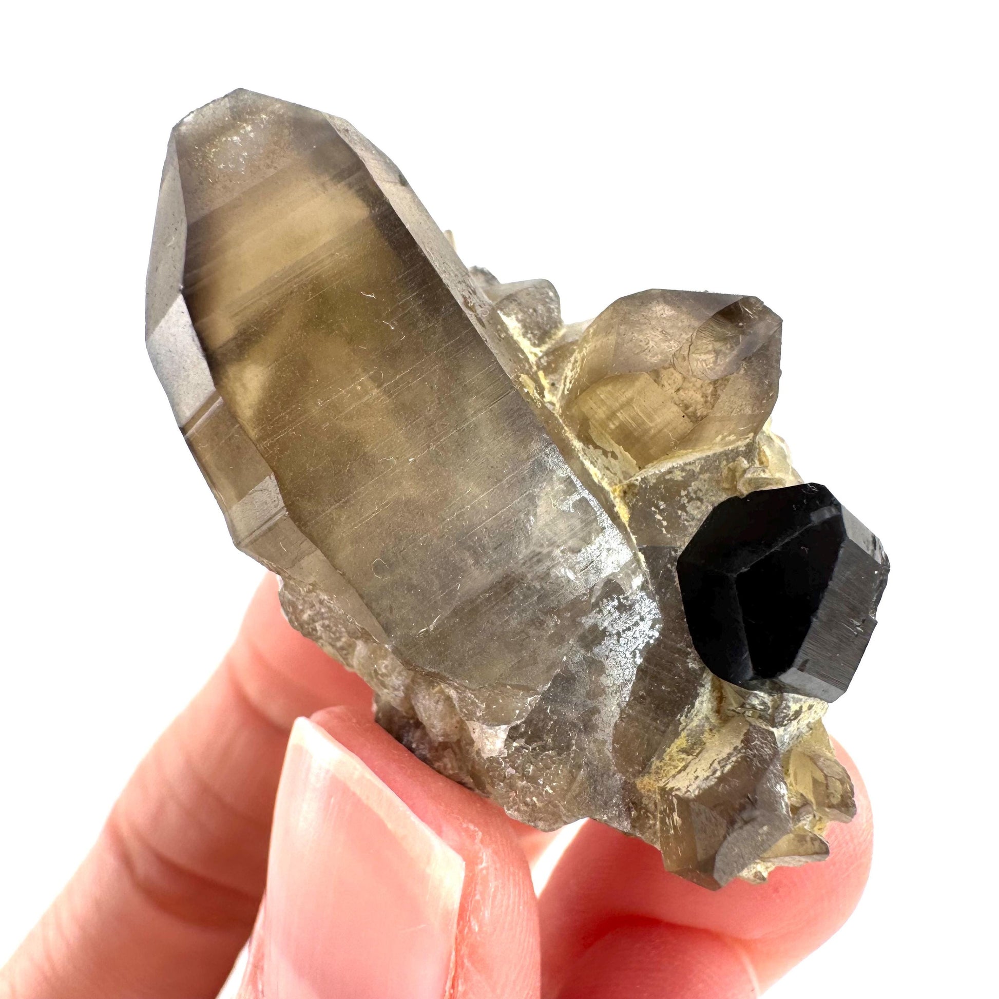 Black Tourmaline on Smoky Quartz | schorl crystal cluster, mineral specimen from Namibia