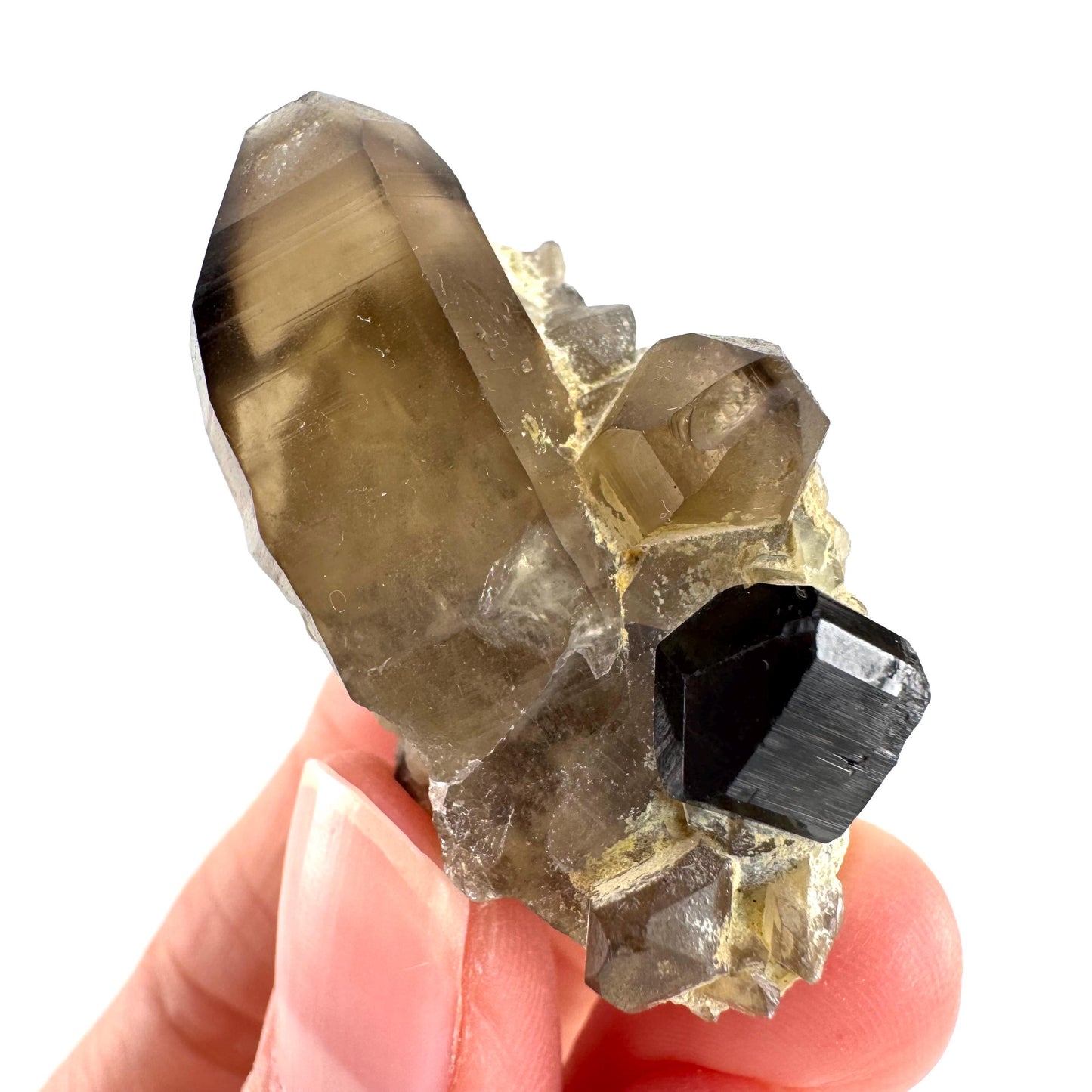 Black Tourmaline on Smoky Quartz | schorl crystal cluster, mineral specimen from Namibia