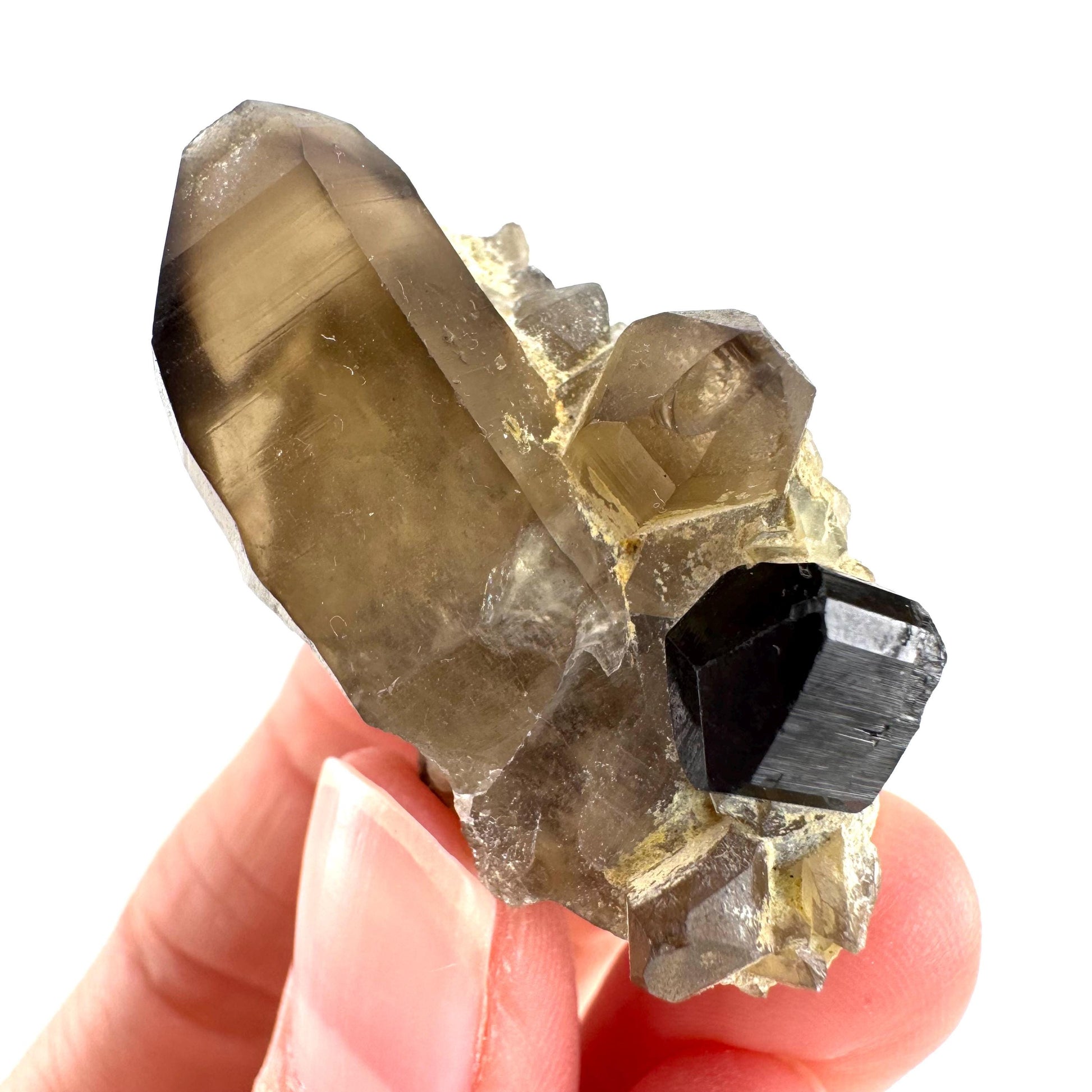 Black Tourmaline on Smoky Quartz | schorl crystal cluster, mineral specimen from Namibia