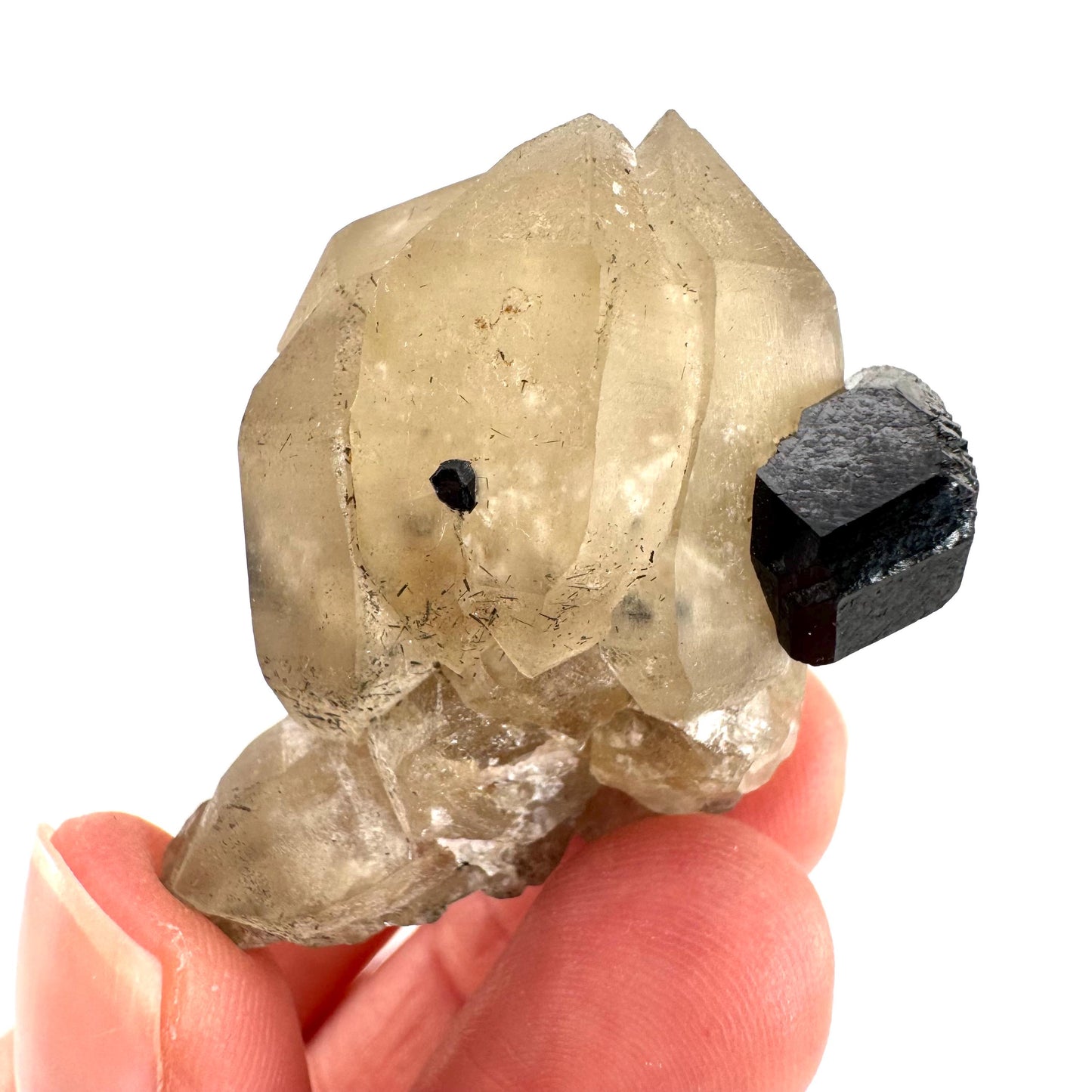 Black Tourmaline on Smoky Quartz | schorl crystal cluster, mineral specimen from Namibia