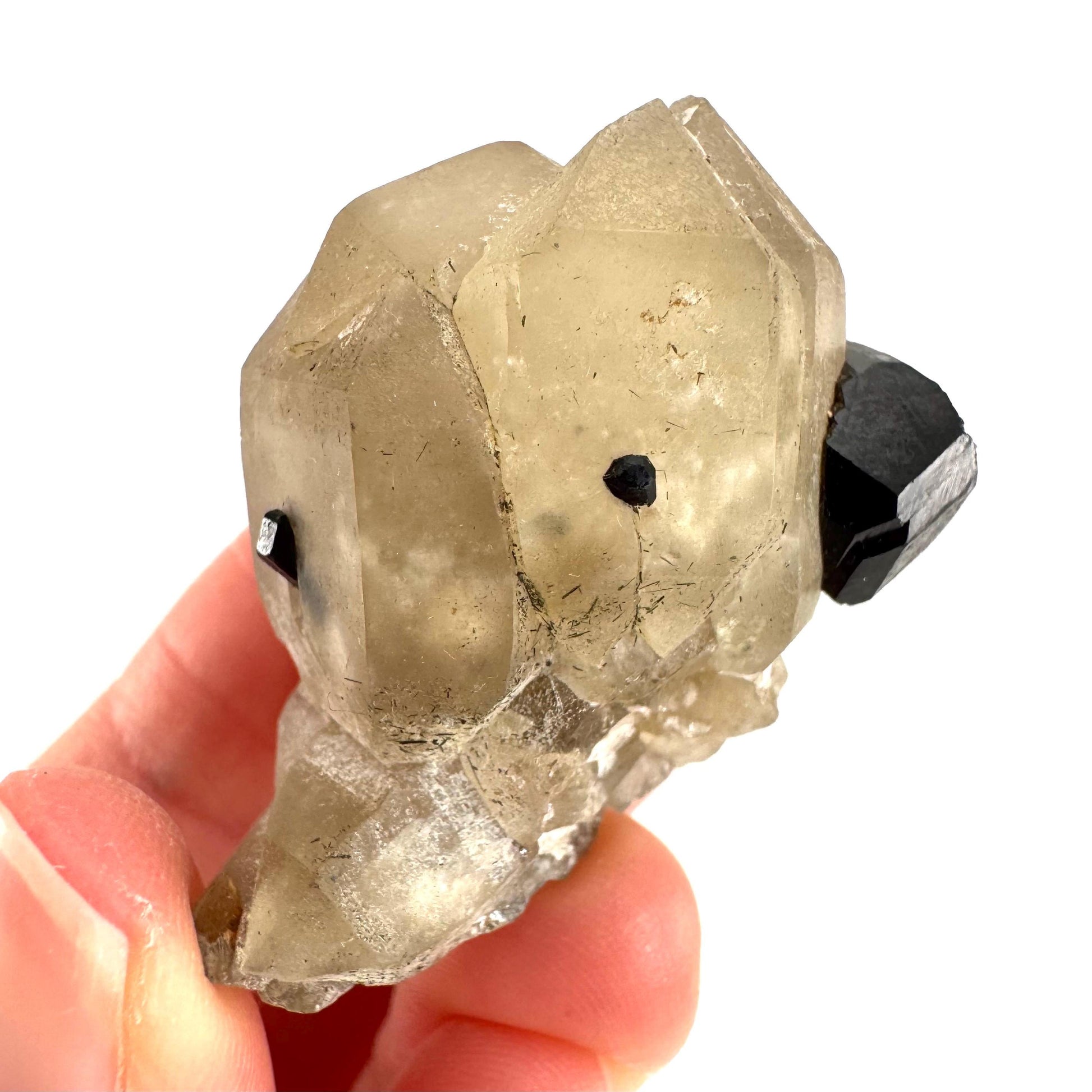 Black Tourmaline on Smoky Quartz | schorl crystal cluster, mineral specimen from Namibia