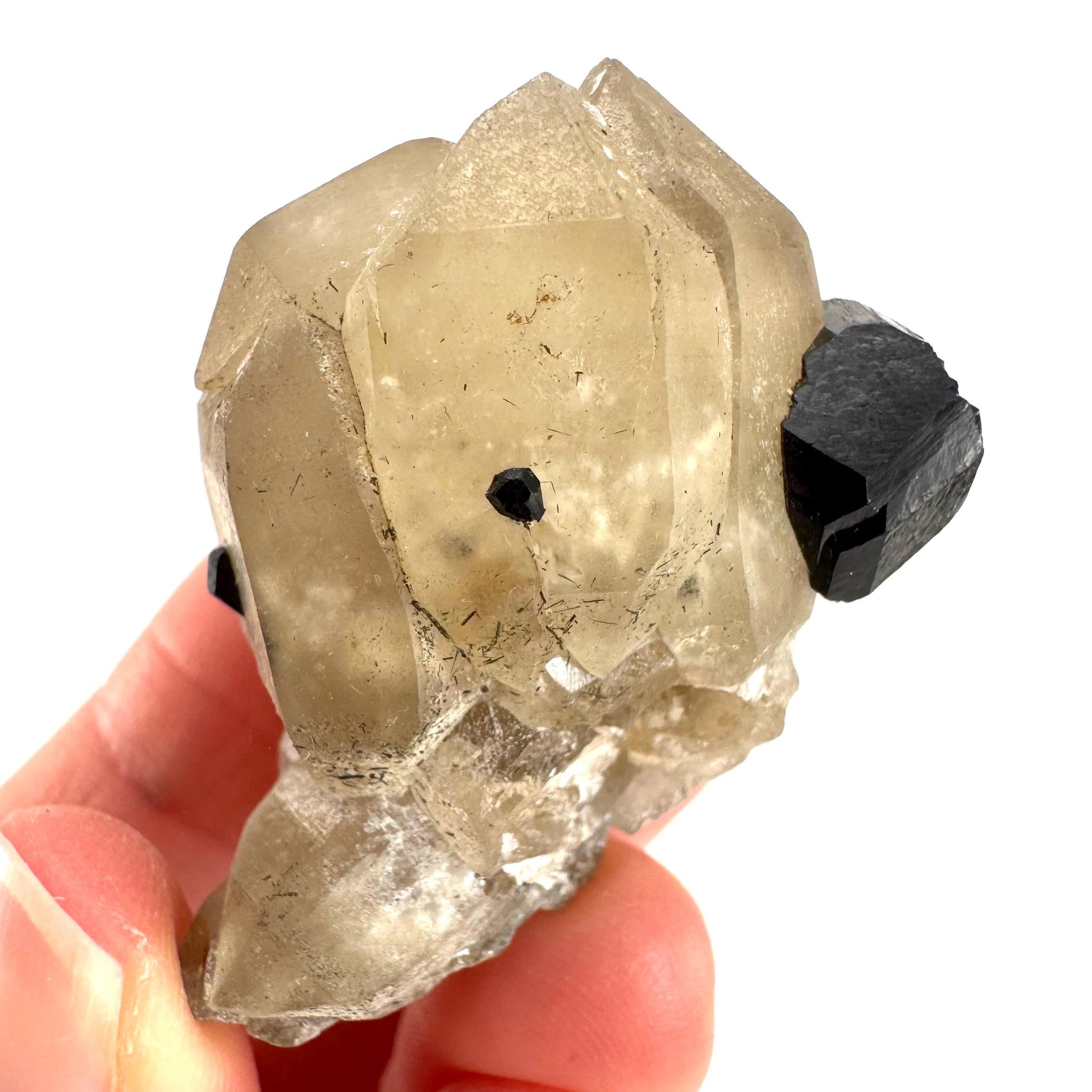 Black Tourmaline on Smoky Quartz | schorl crystal cluster, mineral specimen from Namibia
