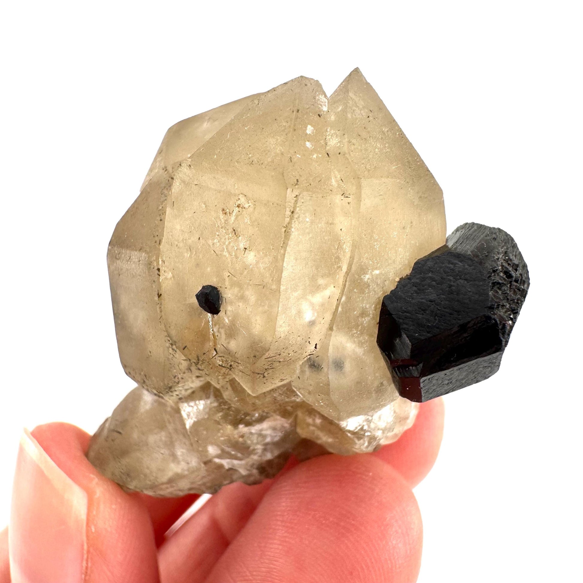 Black Tourmaline on Smoky Quartz | schorl crystal cluster, mineral specimen from Namibia