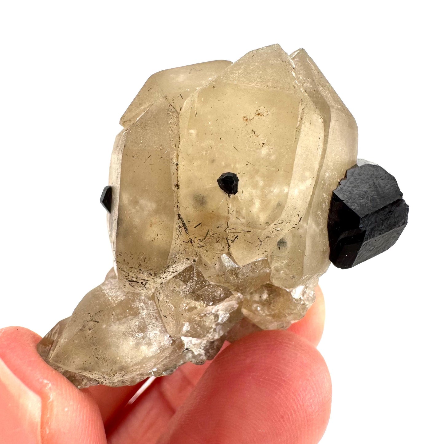 Black Tourmaline on Smoky Quartz | schorl crystal cluster, mineral specimen from Namibia