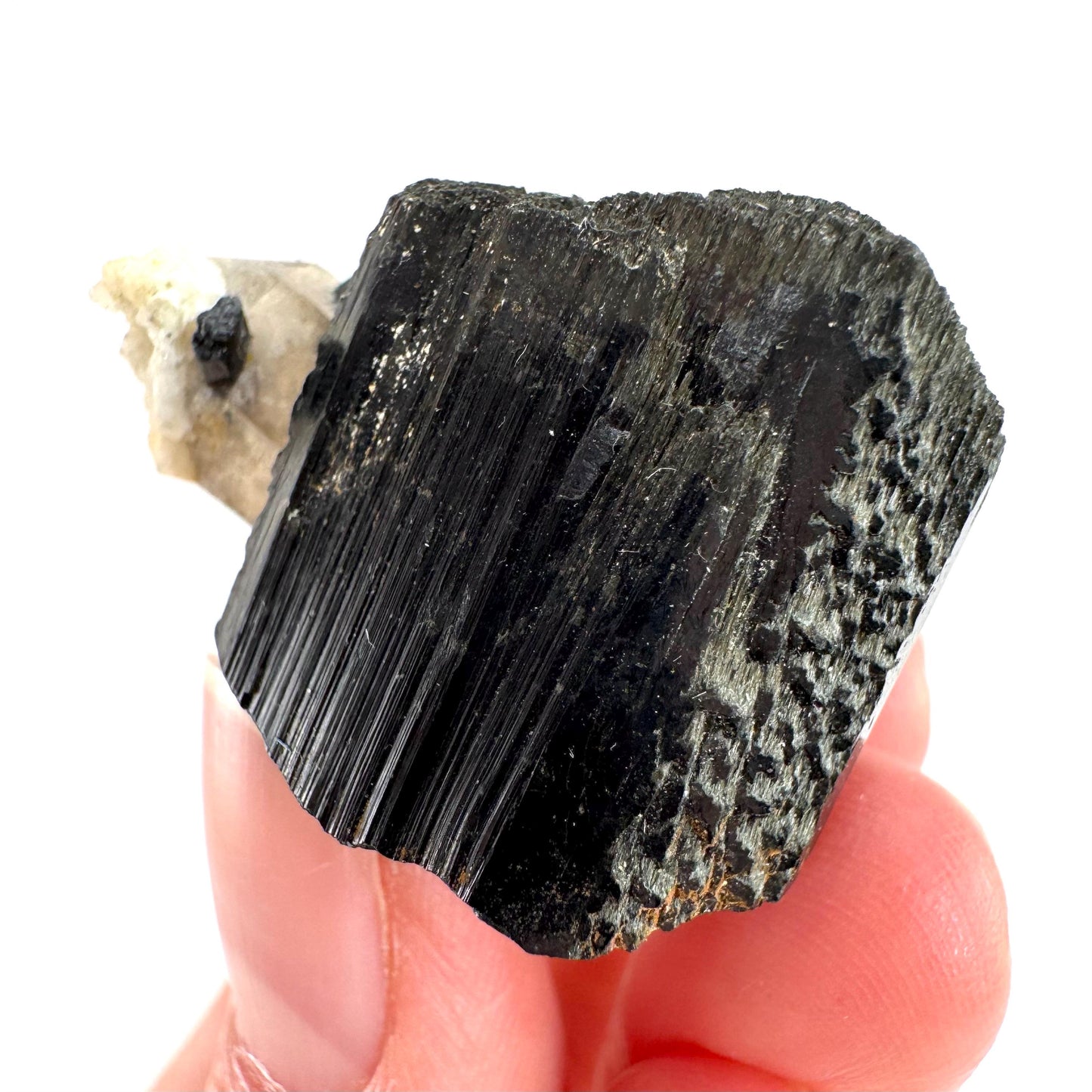 Smoky Quartz on Black Tourmaline | schorl crystal cluster, mineral specimen from Namibia