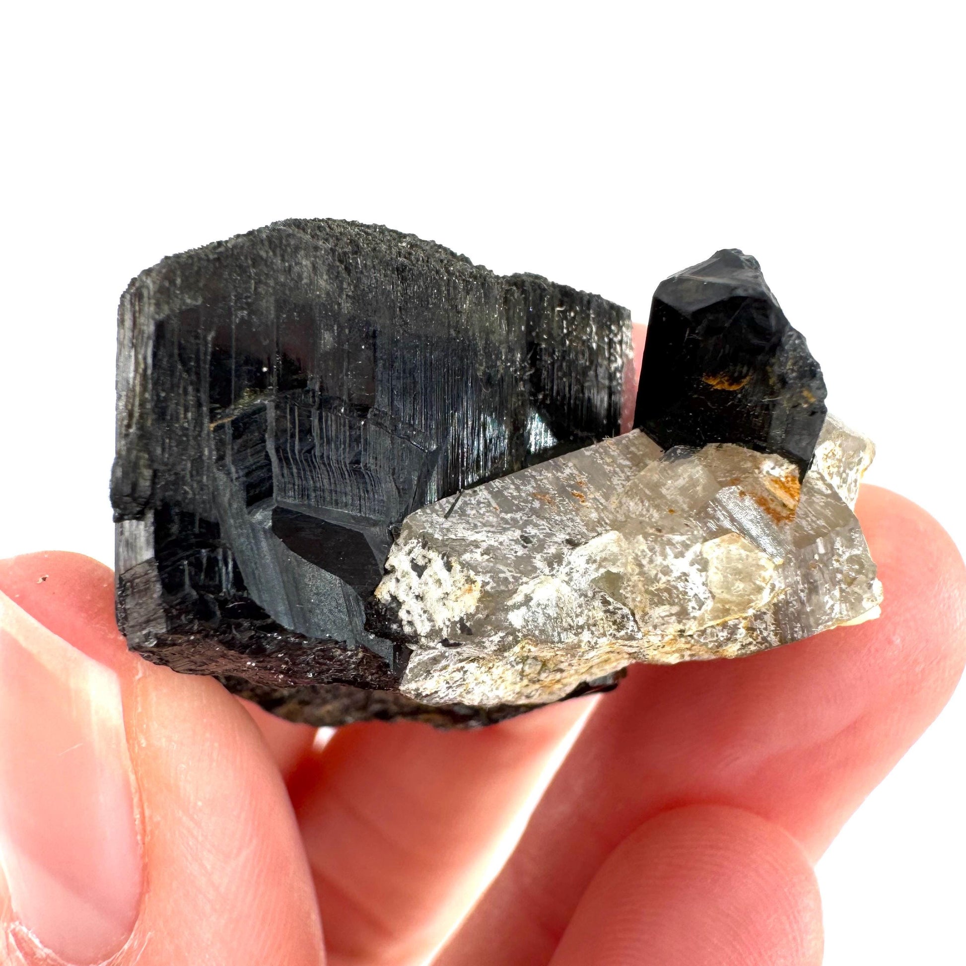 Smoky Quartz on Black Tourmaline | schorl crystal cluster, mineral specimen from Namibia